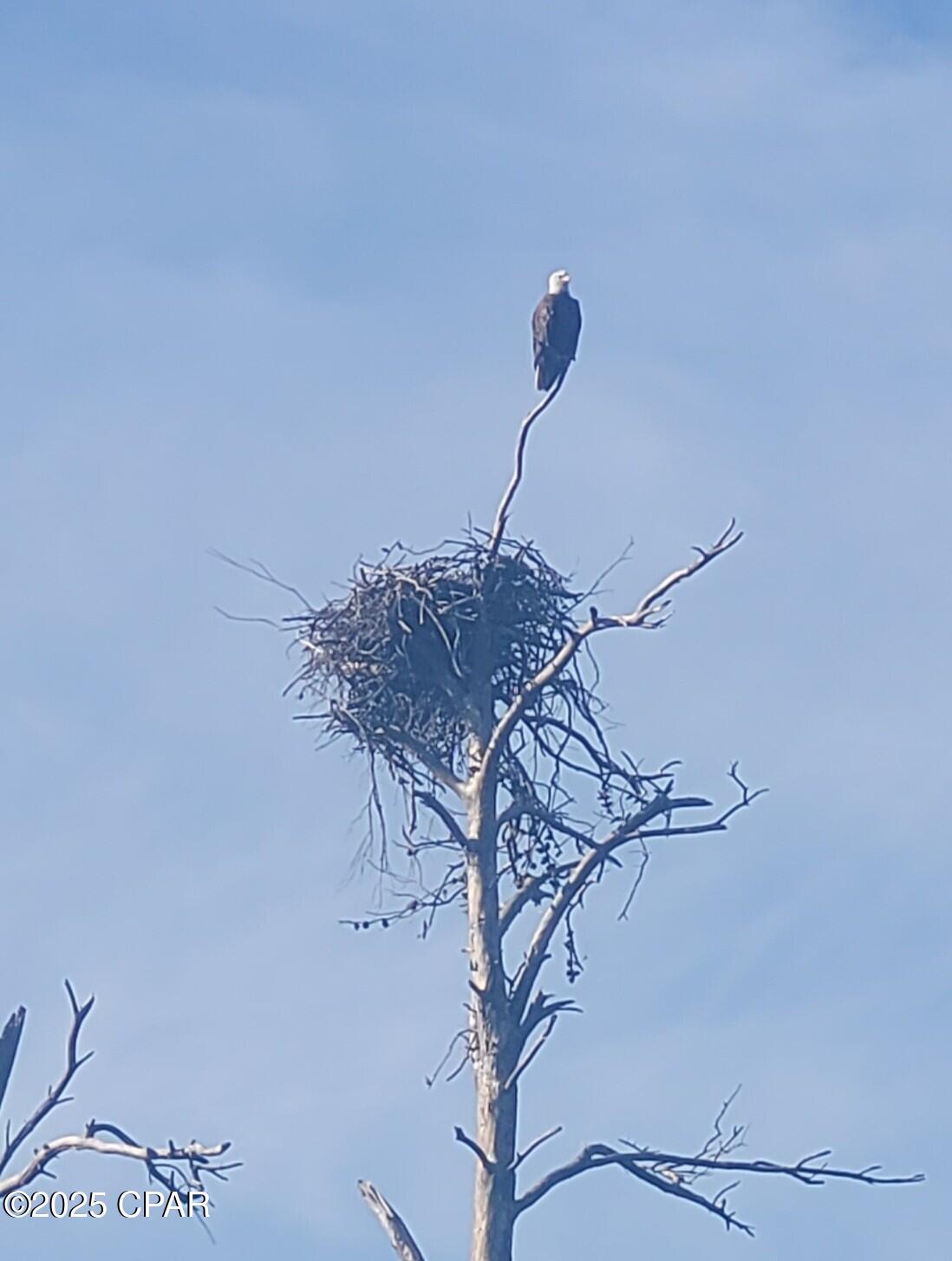 Image 50 For 4958 Lake Ridge Drive
