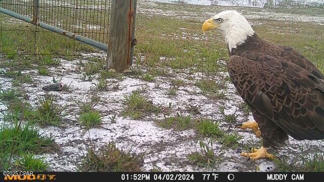 Image 51 For 4958 Lake Ridge Drive