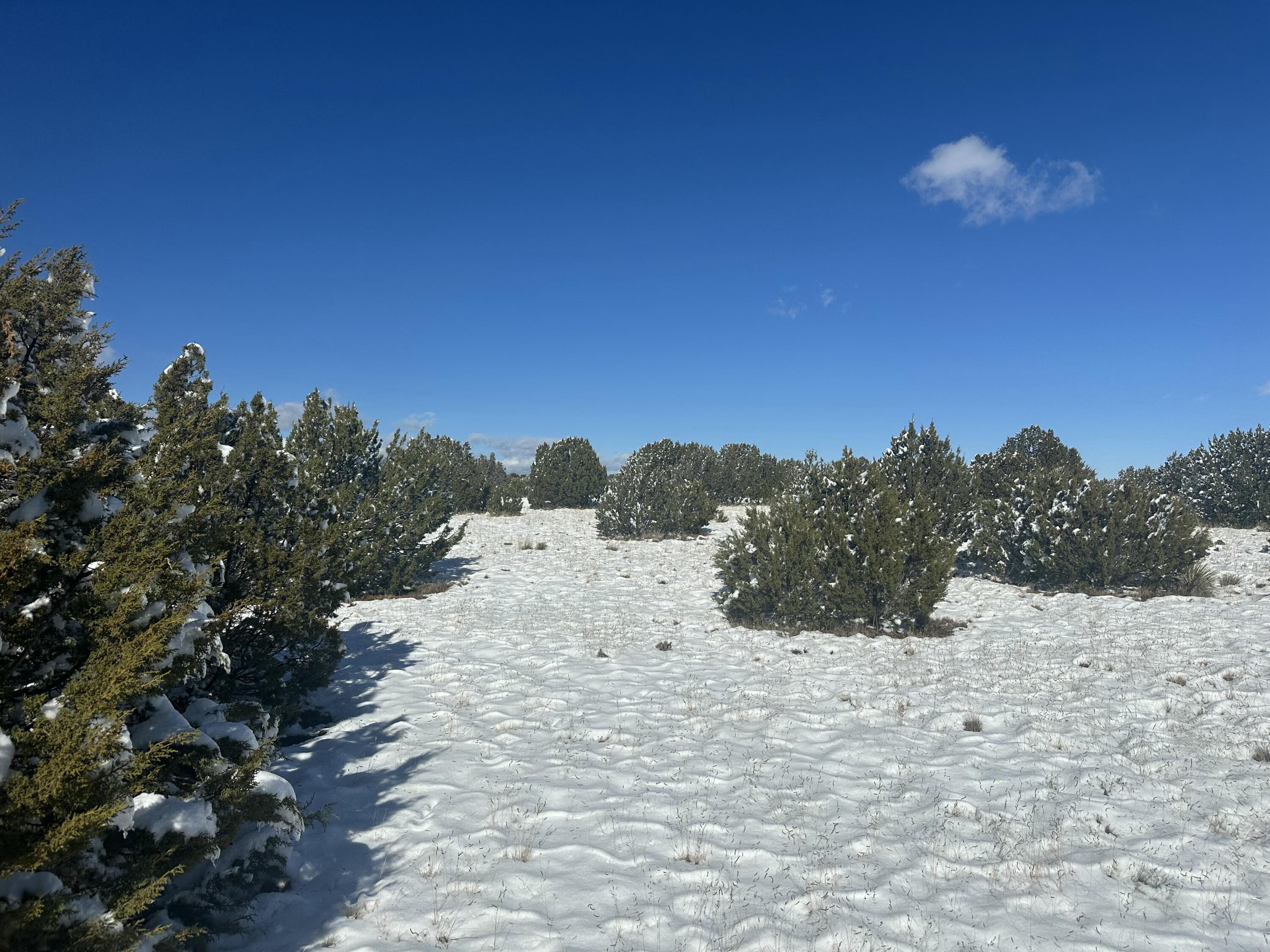 Photo 5 of Sale Pending at El Gato Rd, Mountainair, NM 87036 | MLS# 1095308 | Listing updated on 2026-09-03