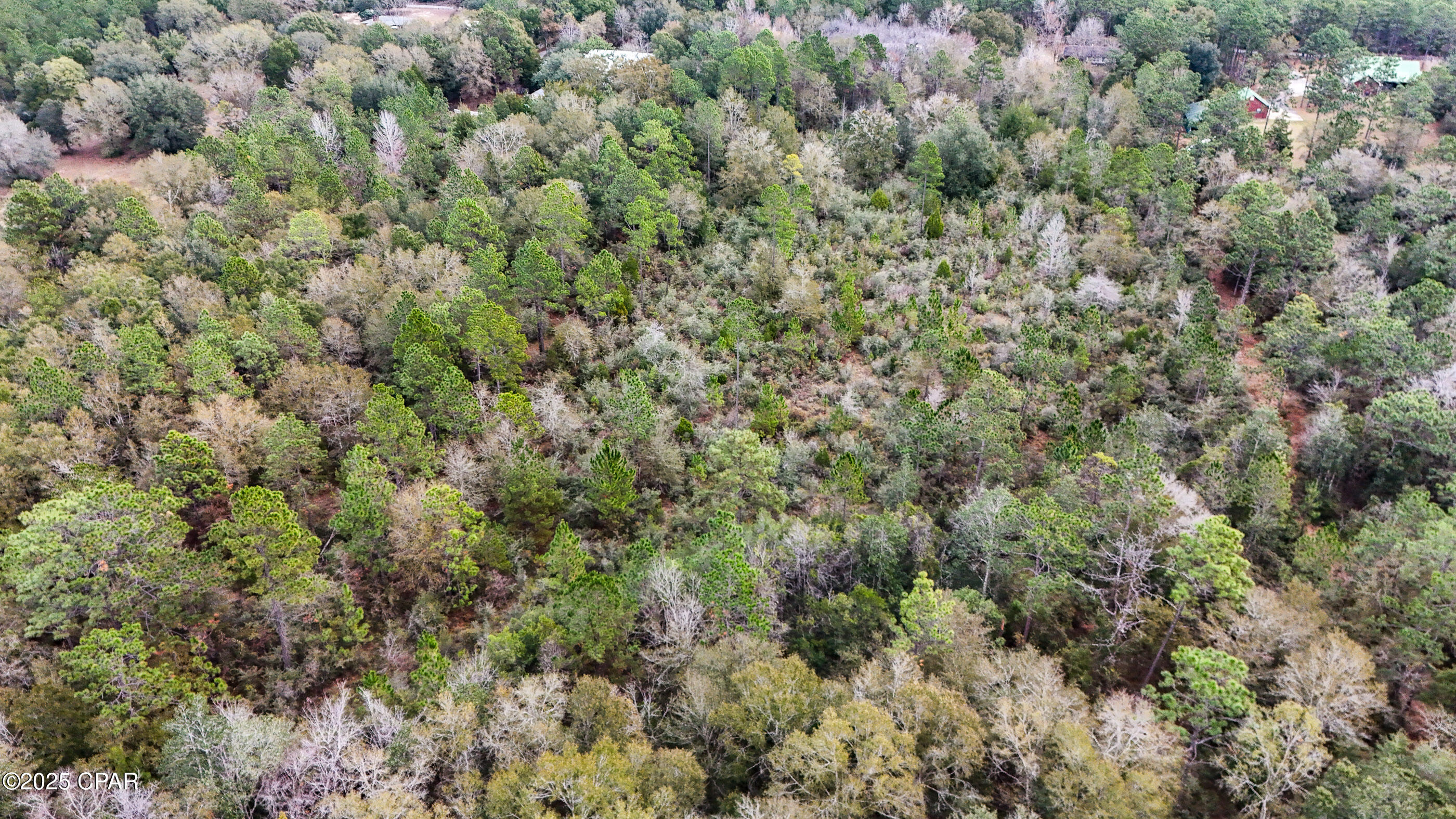 Image 13 For 2676 Sun Lake Road