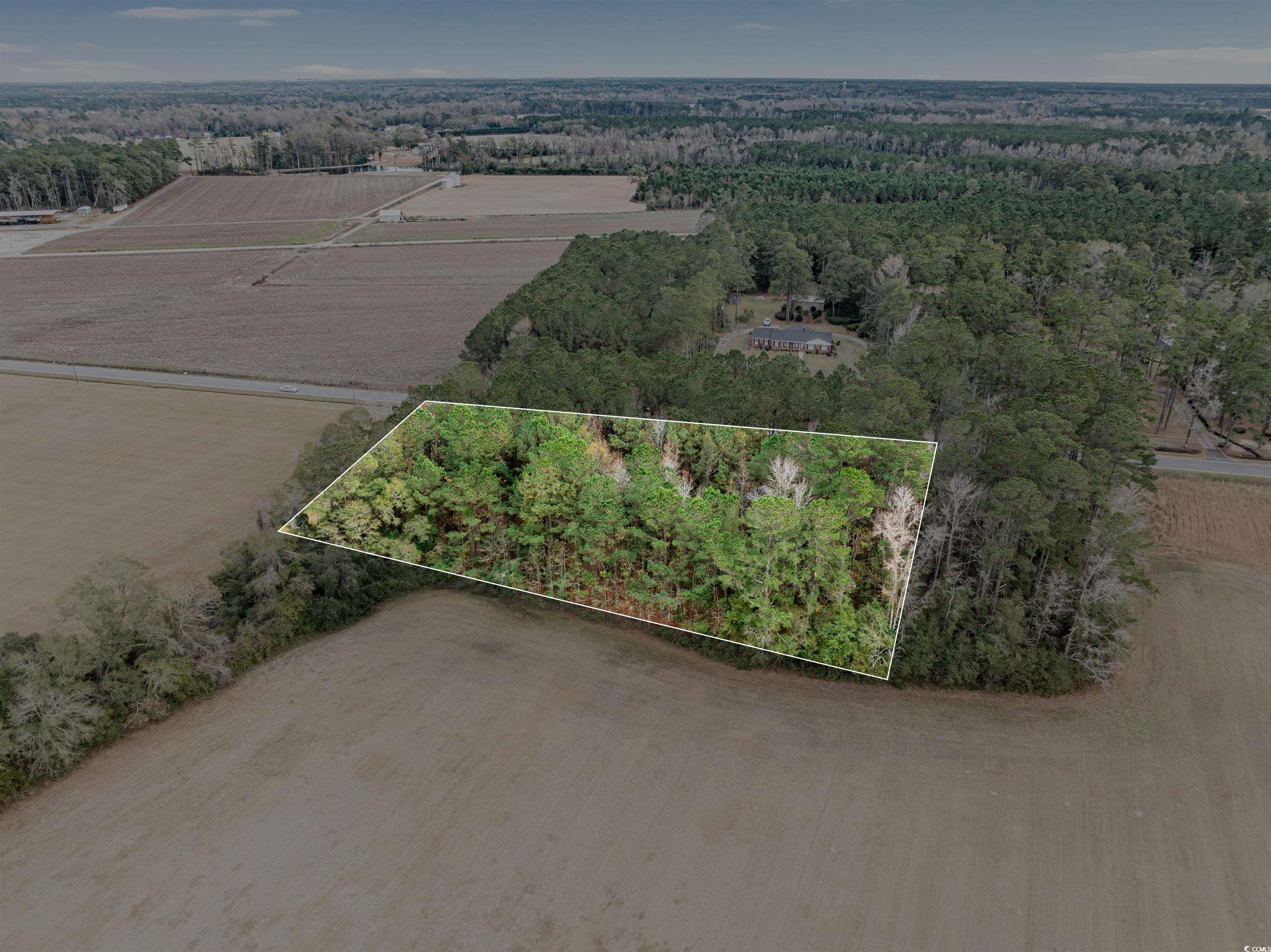 Homes for sale in Johnsonville, SC | Tbd Vox Hwy, Johnsonville, SC 29555 | MLS# 2528852