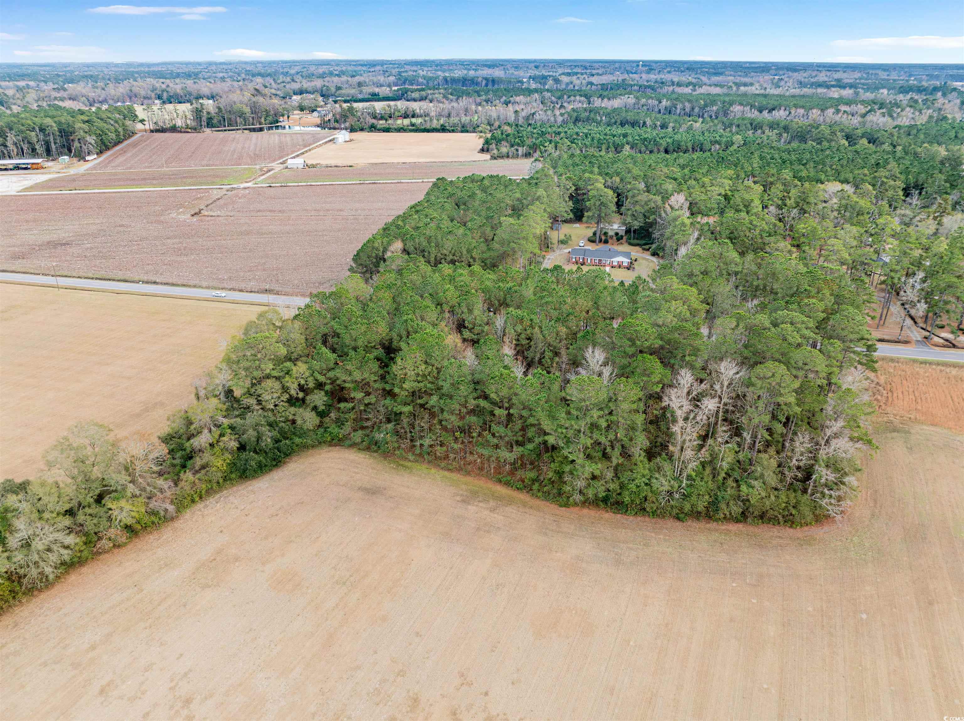 Homes for sale in Johnsonville, SC | Tbd Vox Hwy, Johnsonville, SC 29555 | MLS# 2528852