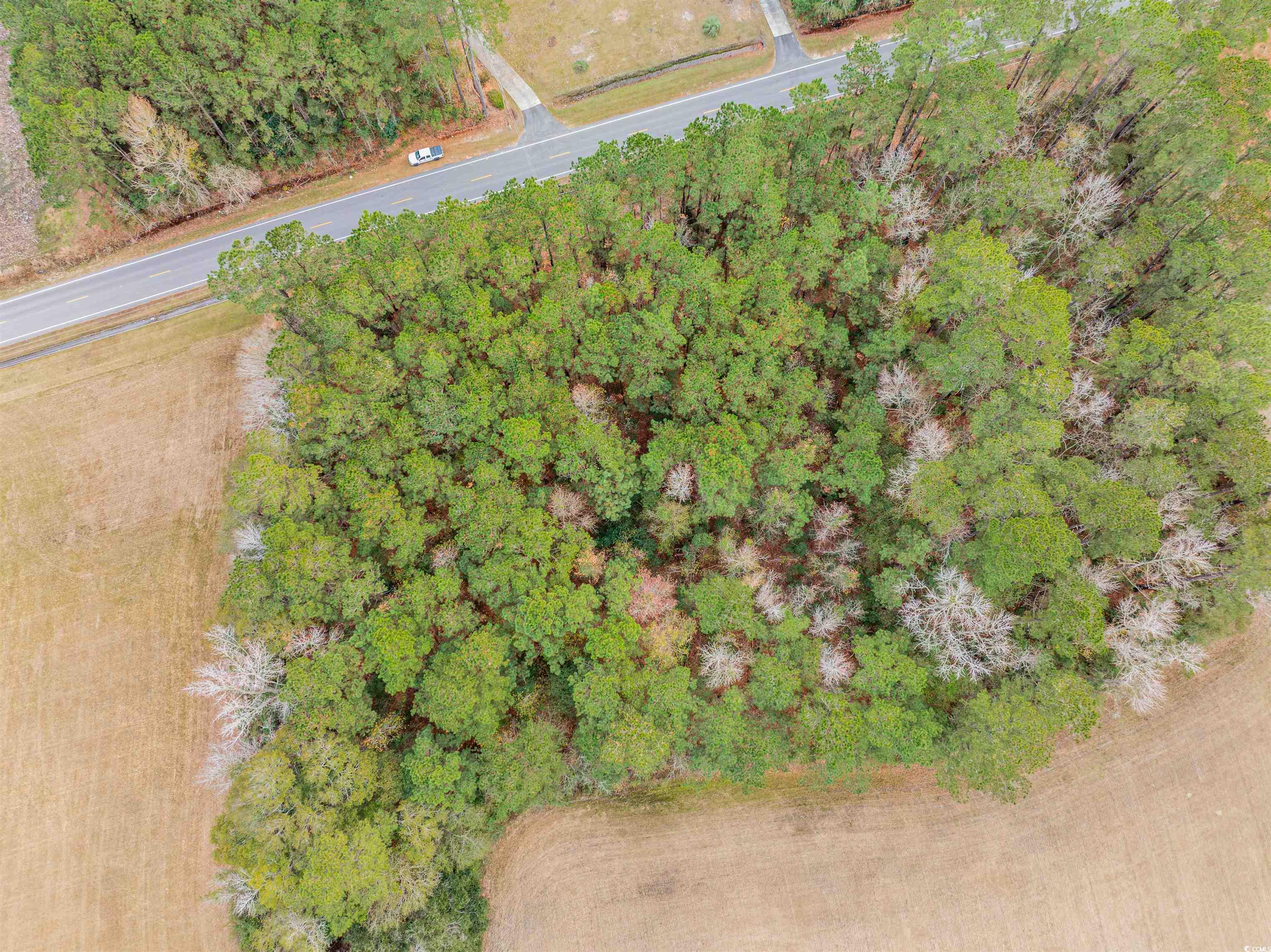 Homes for sale in Johnsonville, SC | Tbd Vox Hwy, Johnsonville, SC 29555 | MLS# 2528852