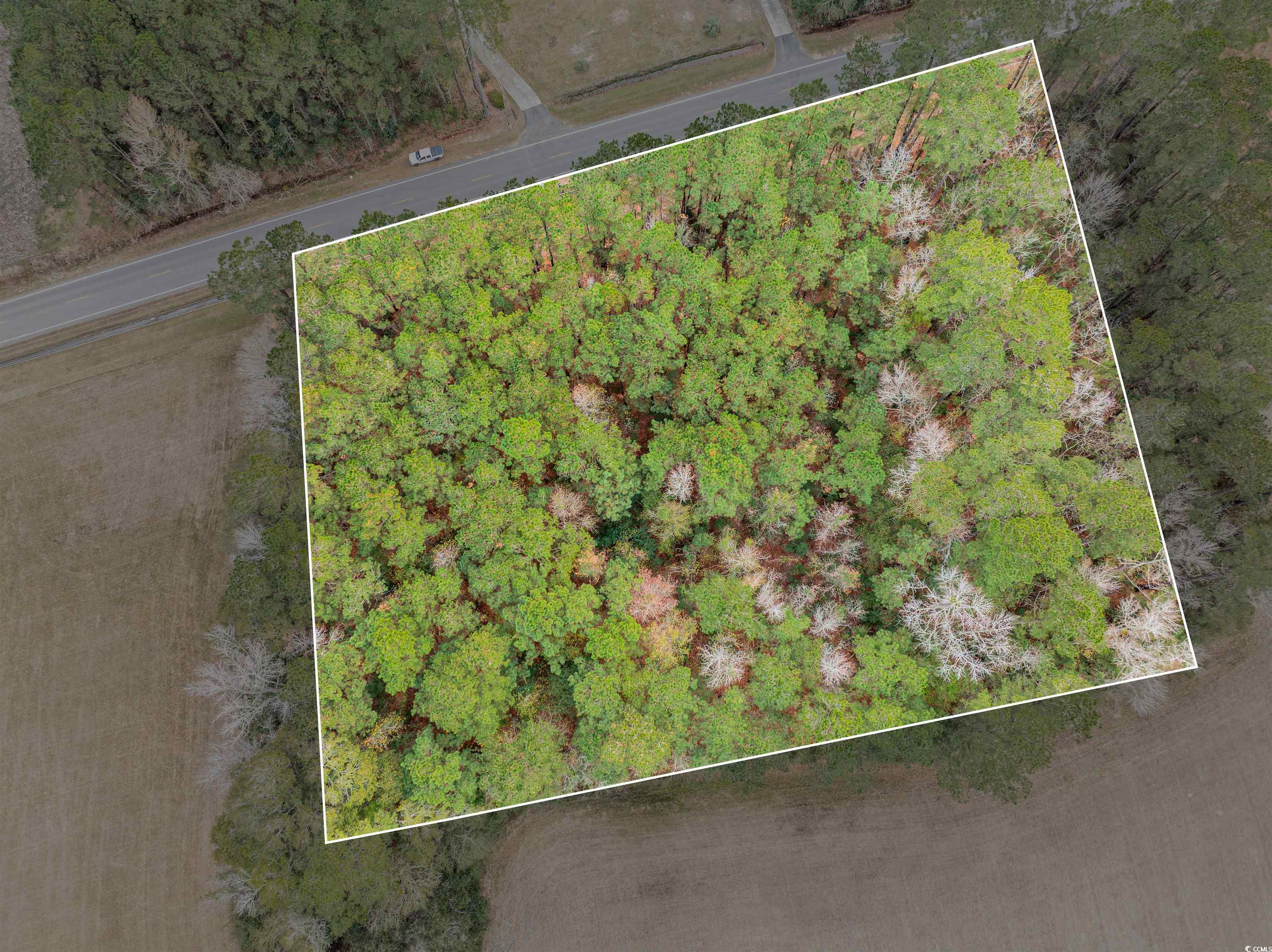 Homes for sale in Johnsonville, SC | Tbd Vox Hwy, Johnsonville, SC 29555 | MLS# 2528852