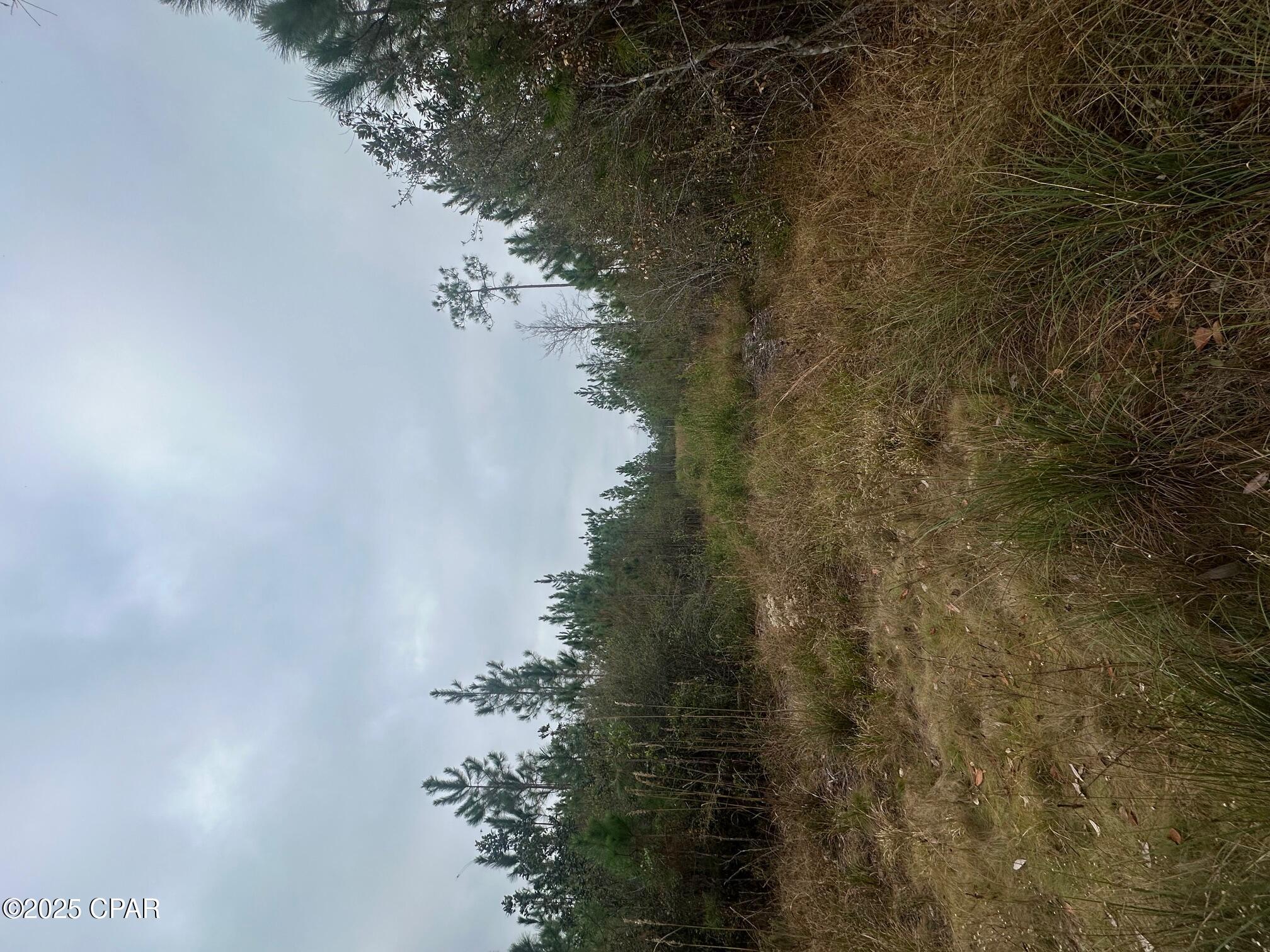 Image 1 For 00 Fl-71  