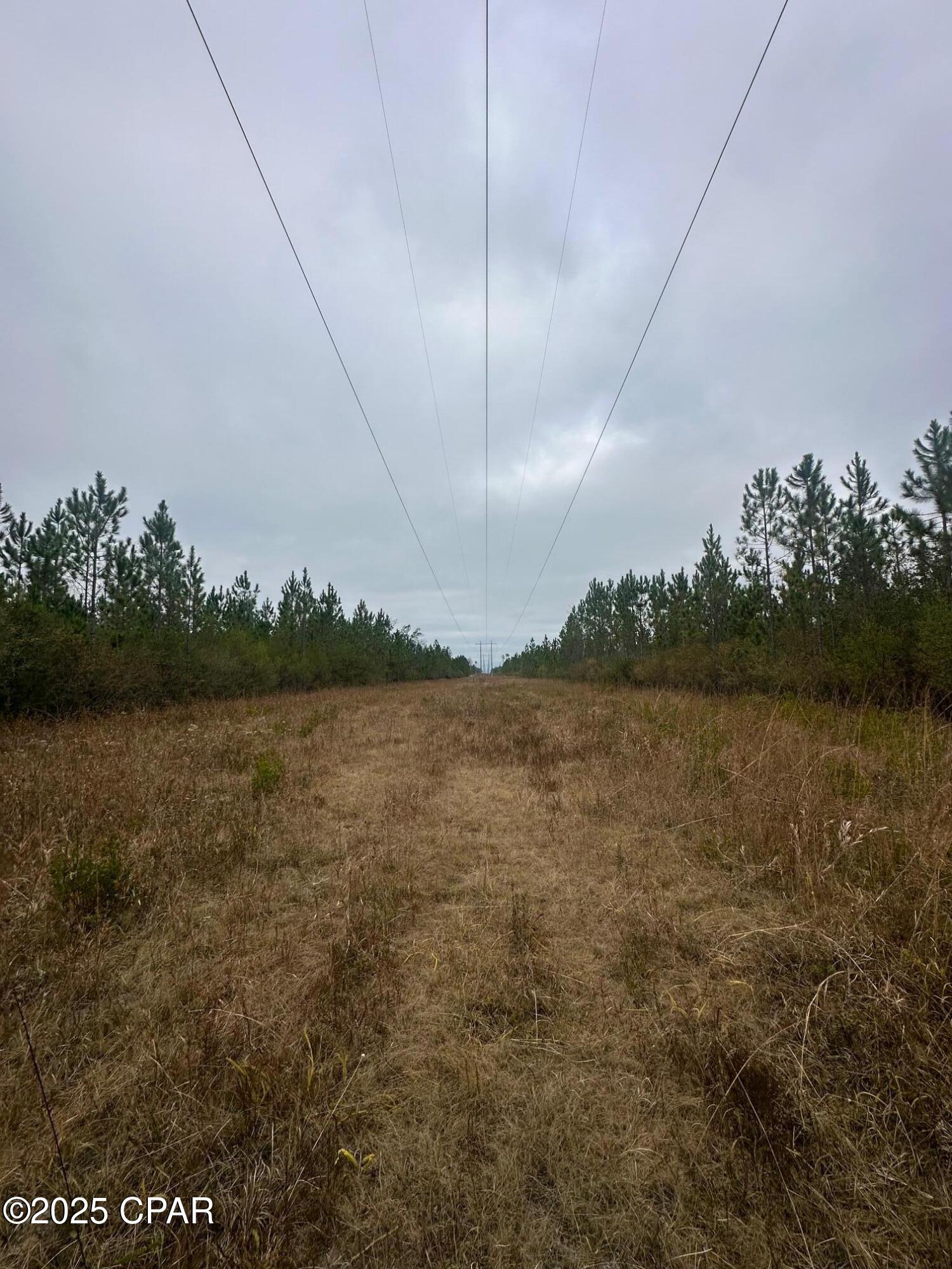 Image 10 For 00 Fl-71  