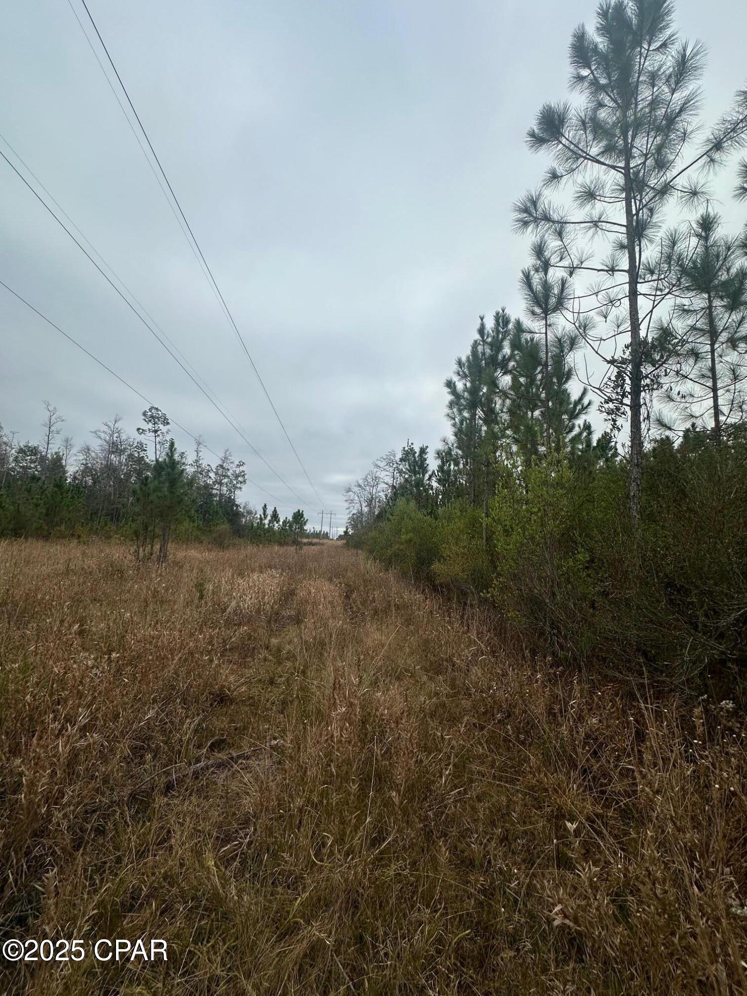 Image 11 For 00 Fl-71  