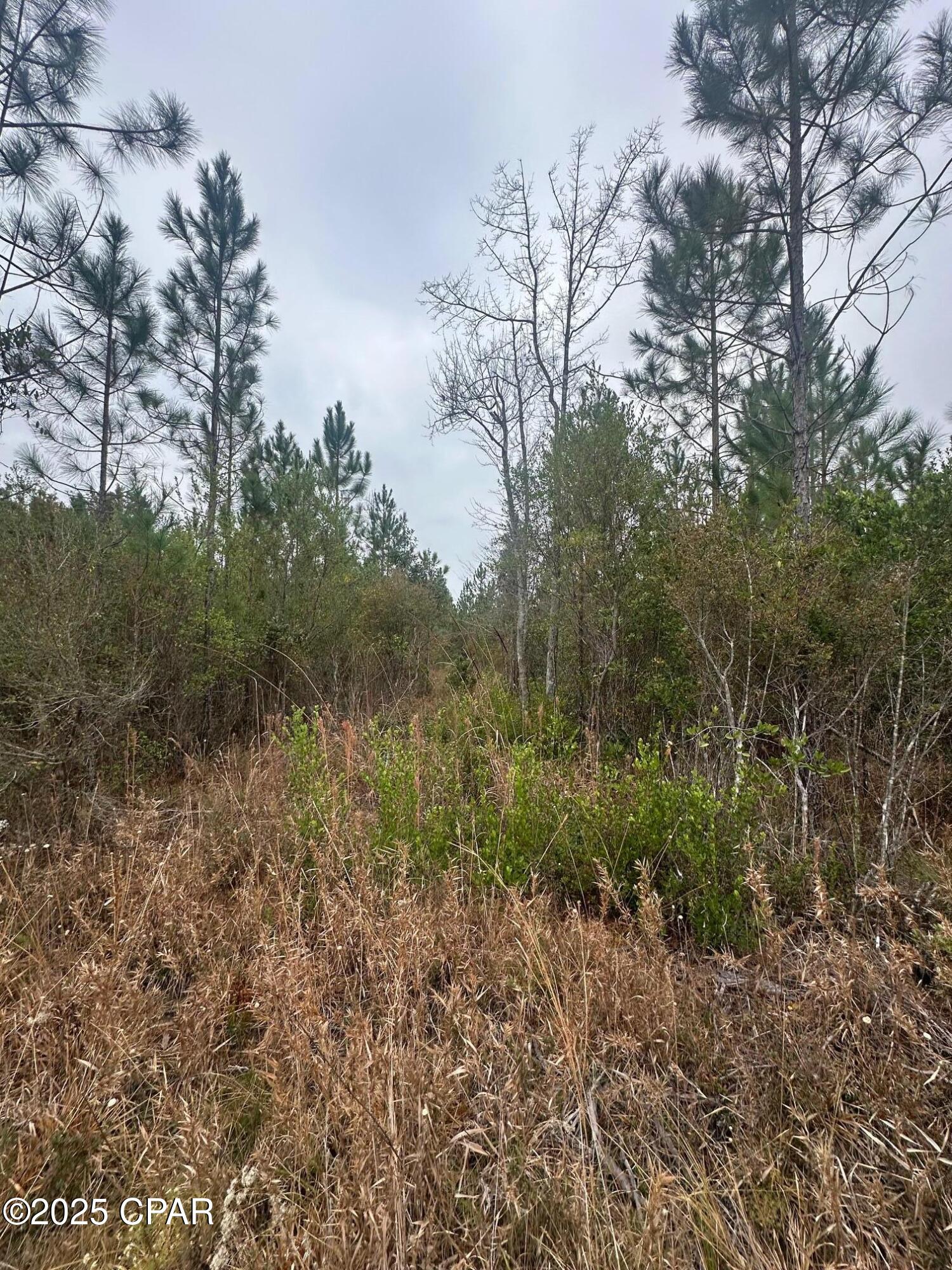 Image 12 For 00 Fl-71  