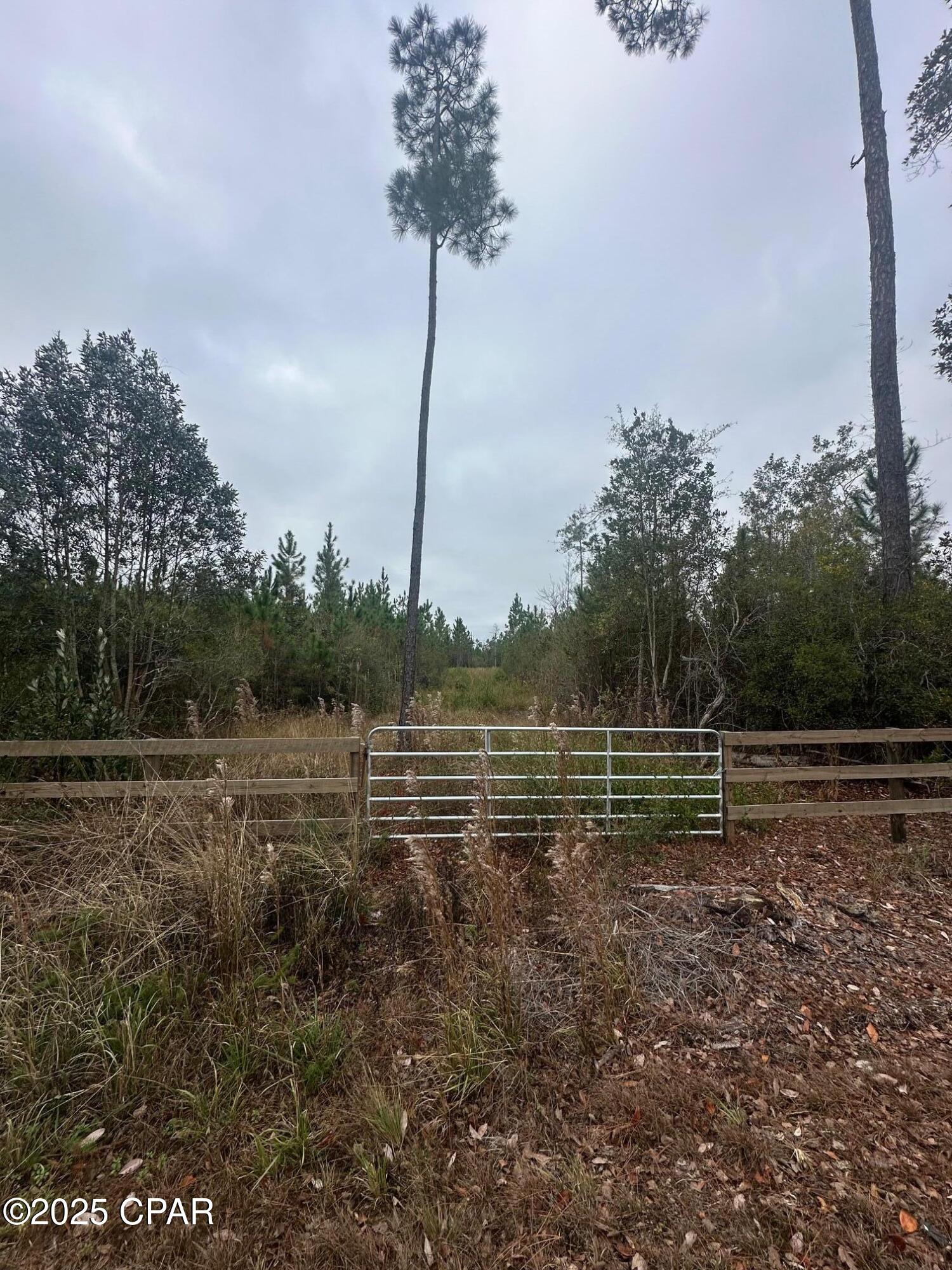 Image 3 For 00 Fl-71  