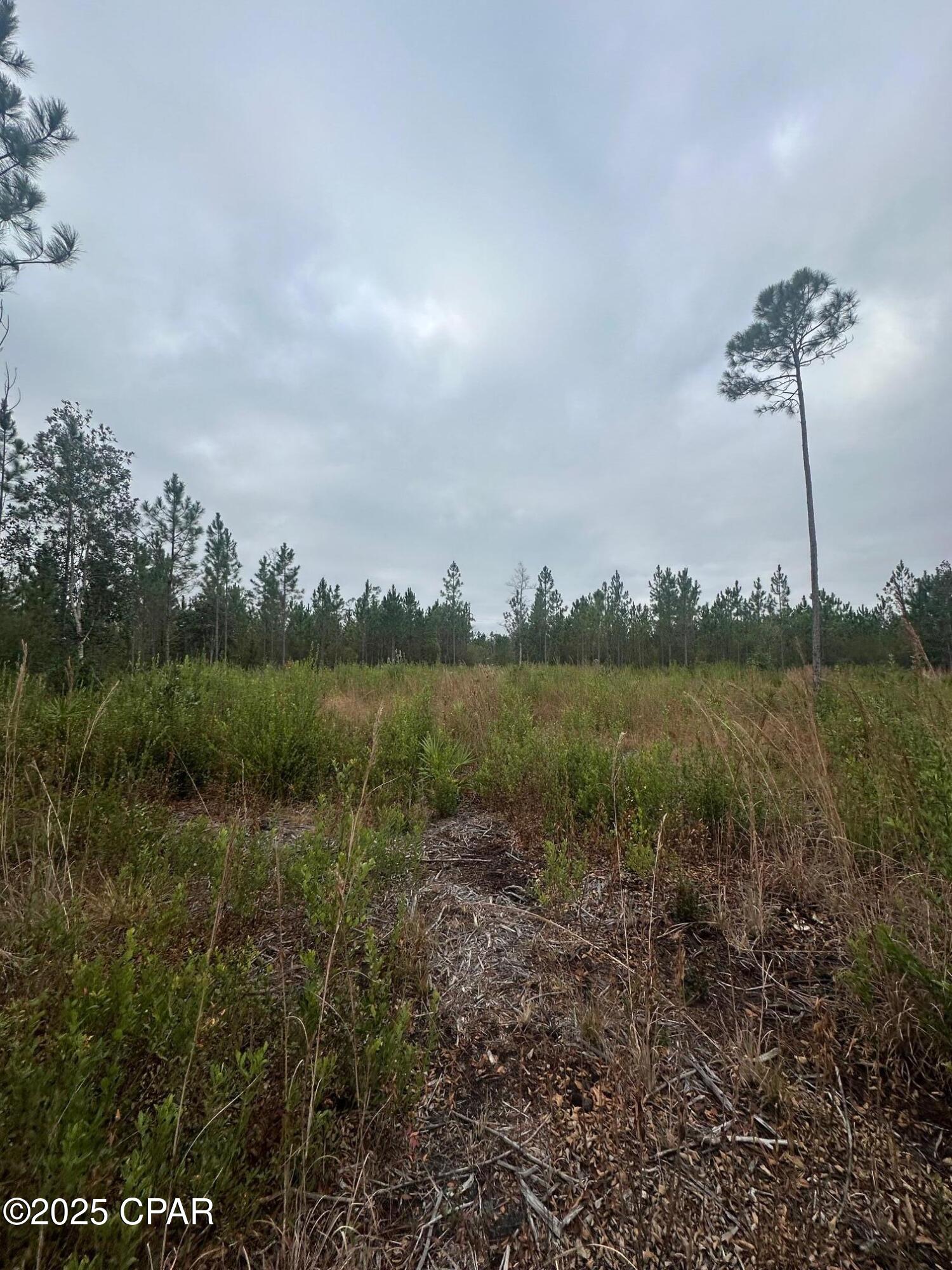 Image 6 For 00 Fl-71  