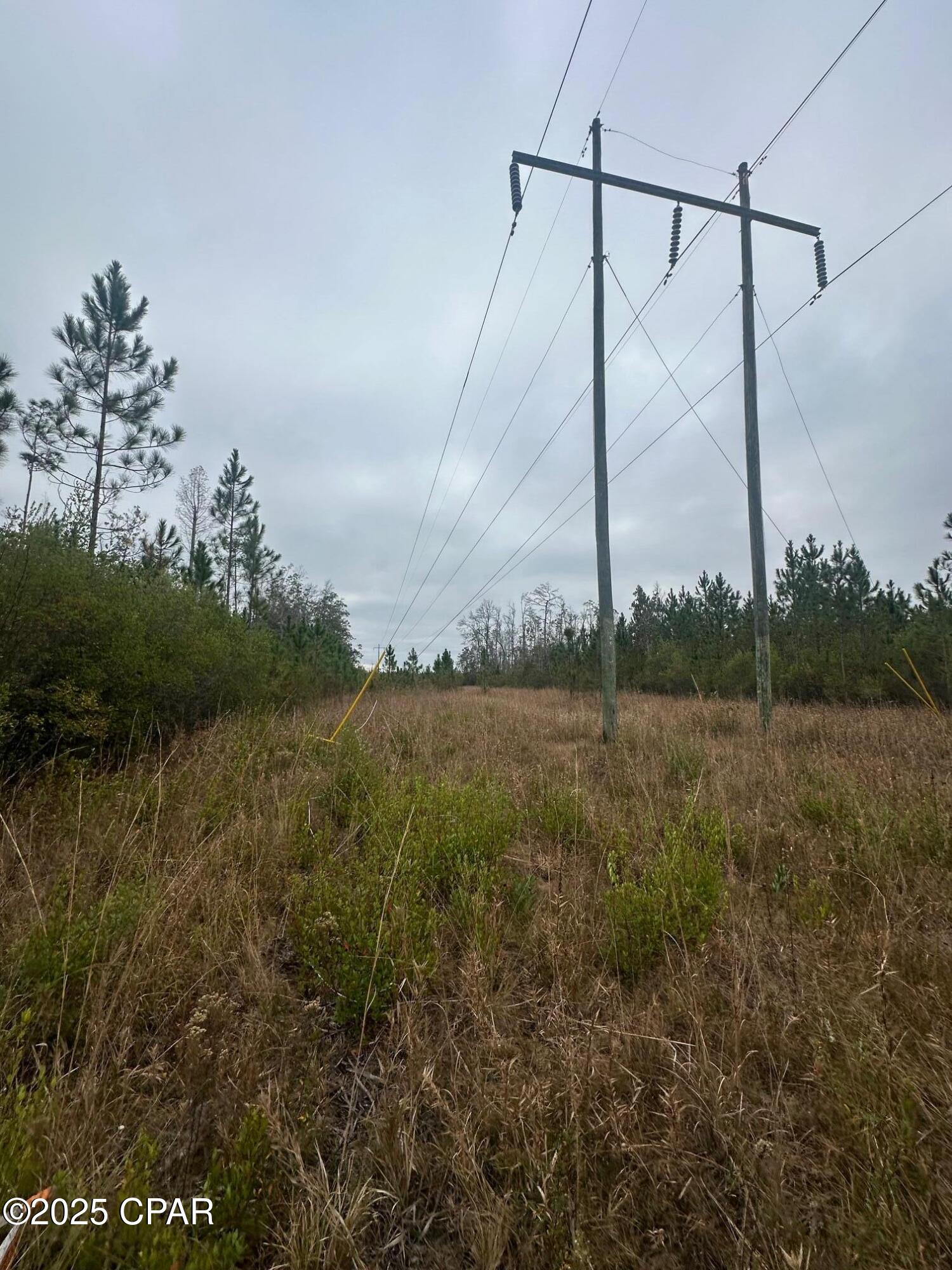 Image 9 For 00 Fl-71  