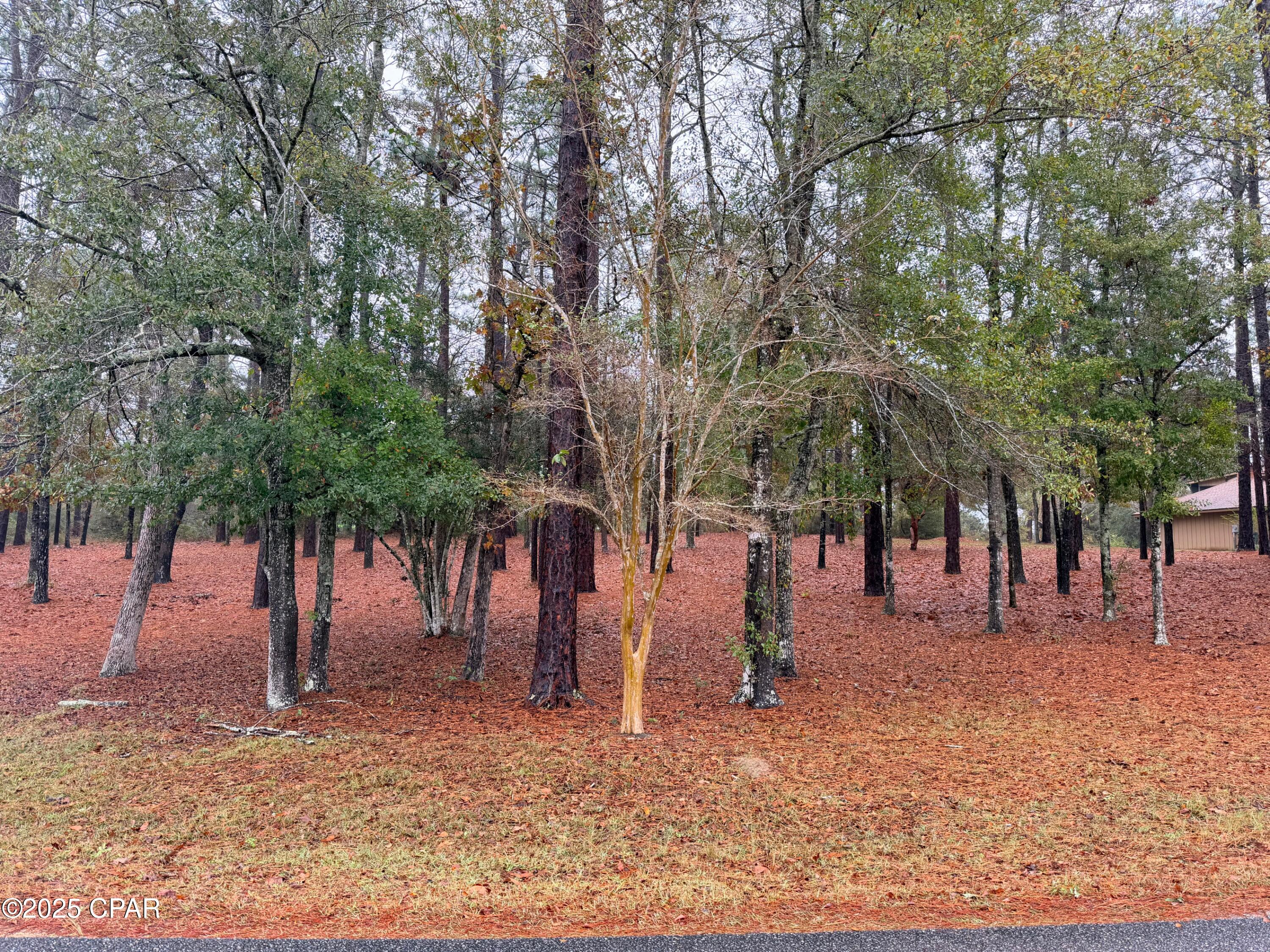 Image 31 For 3048 Joyce Drive