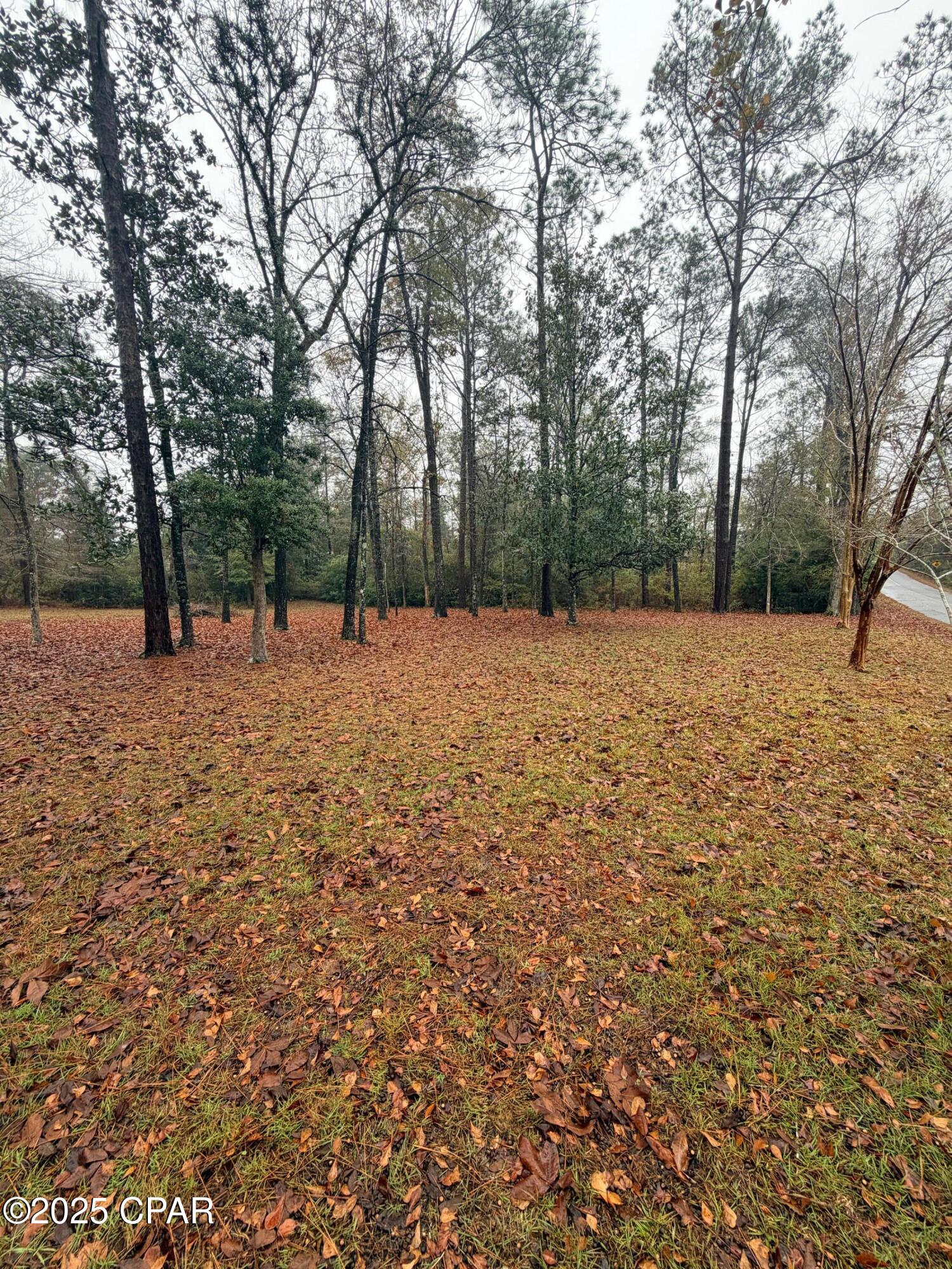 Image 32 For 3048 Joyce Drive