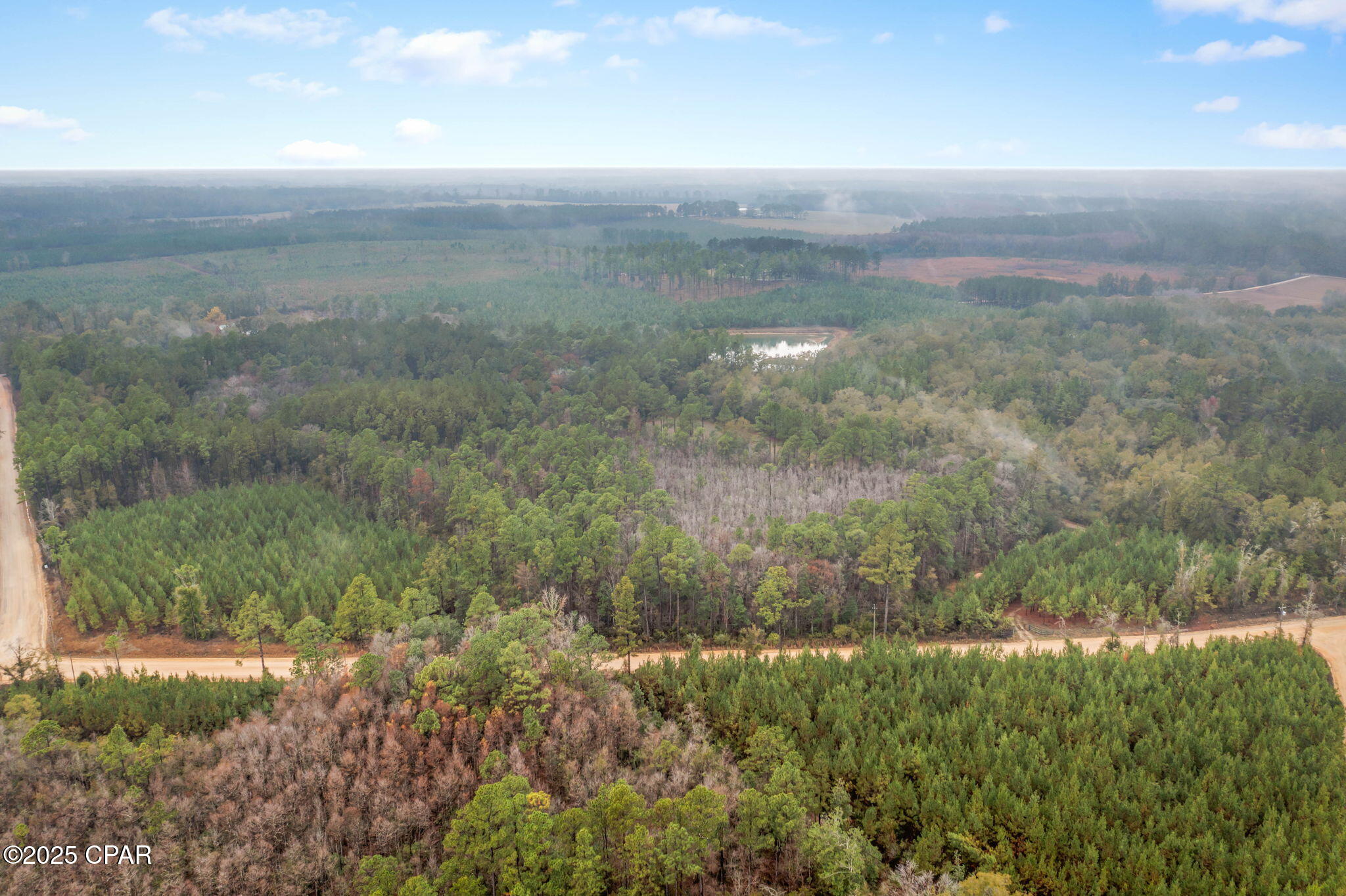 Image 10 For Xxx White Road 12.78 Acre