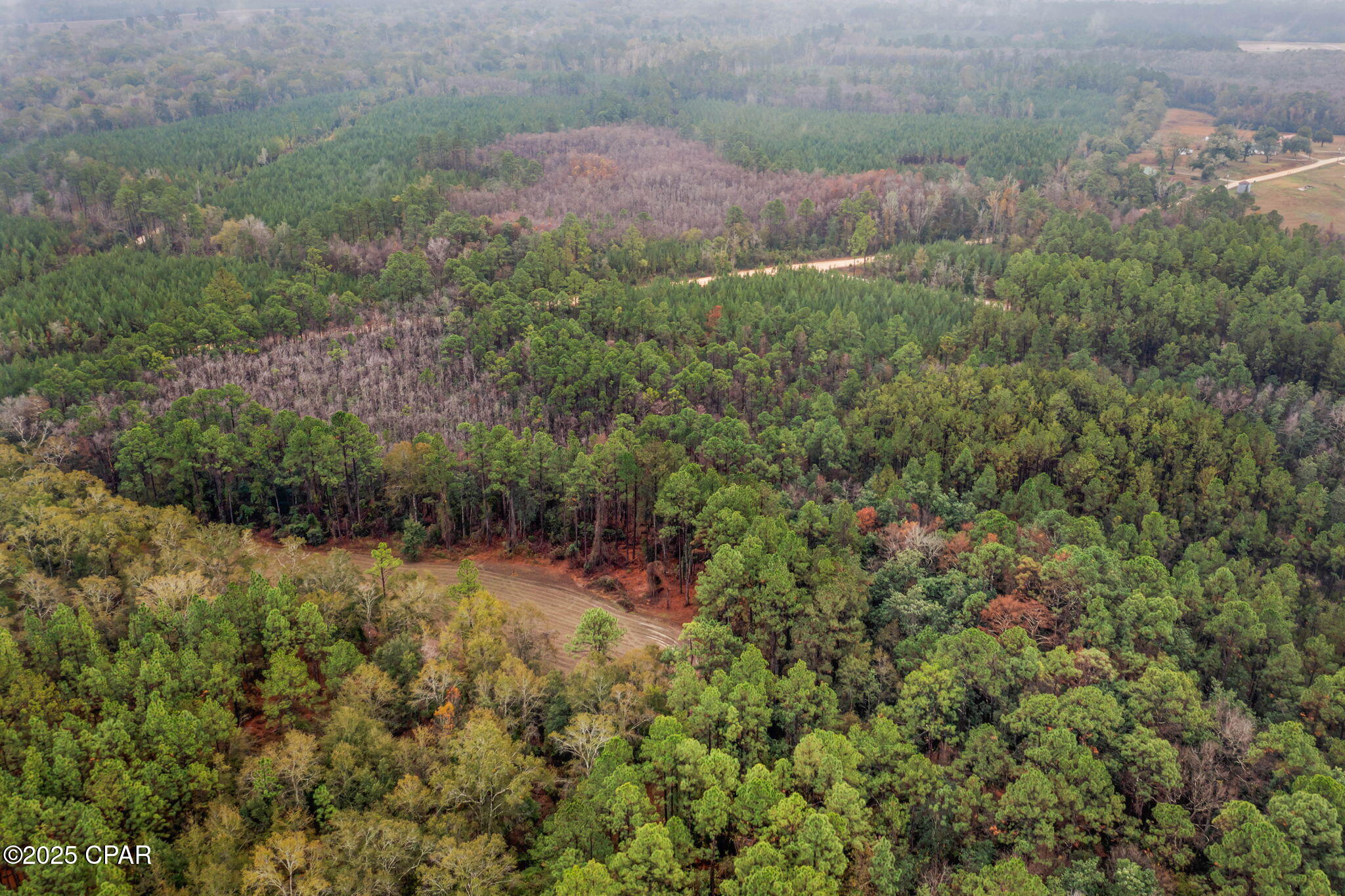 Image 14 For Xxx White Road 12.78 Acre