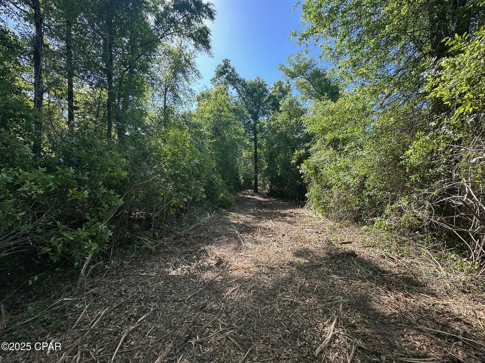 Image 2 For 00 Marcus Drive