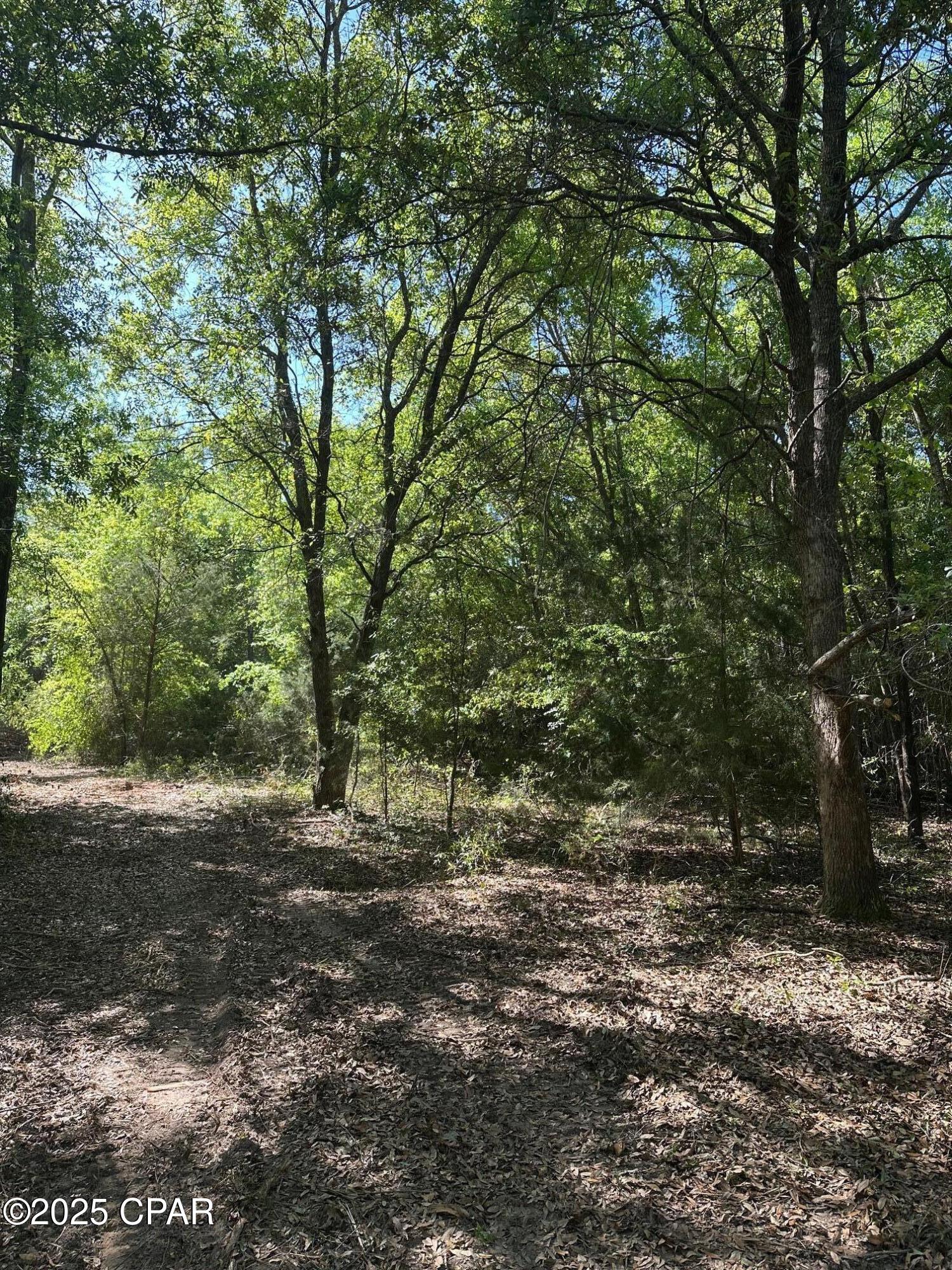 Image 3 For 00 Marcus Drive