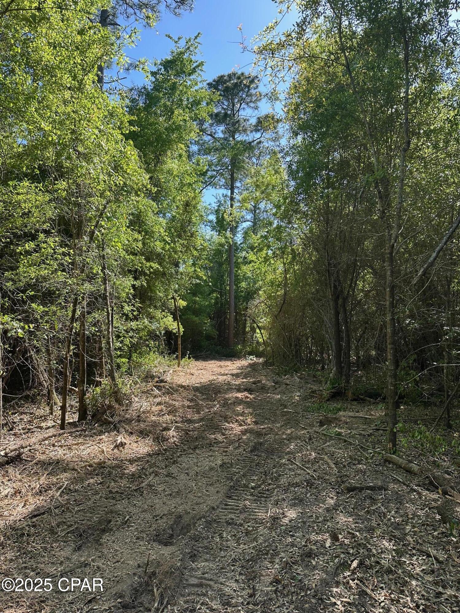 Image 4 For 00 Marcus Drive