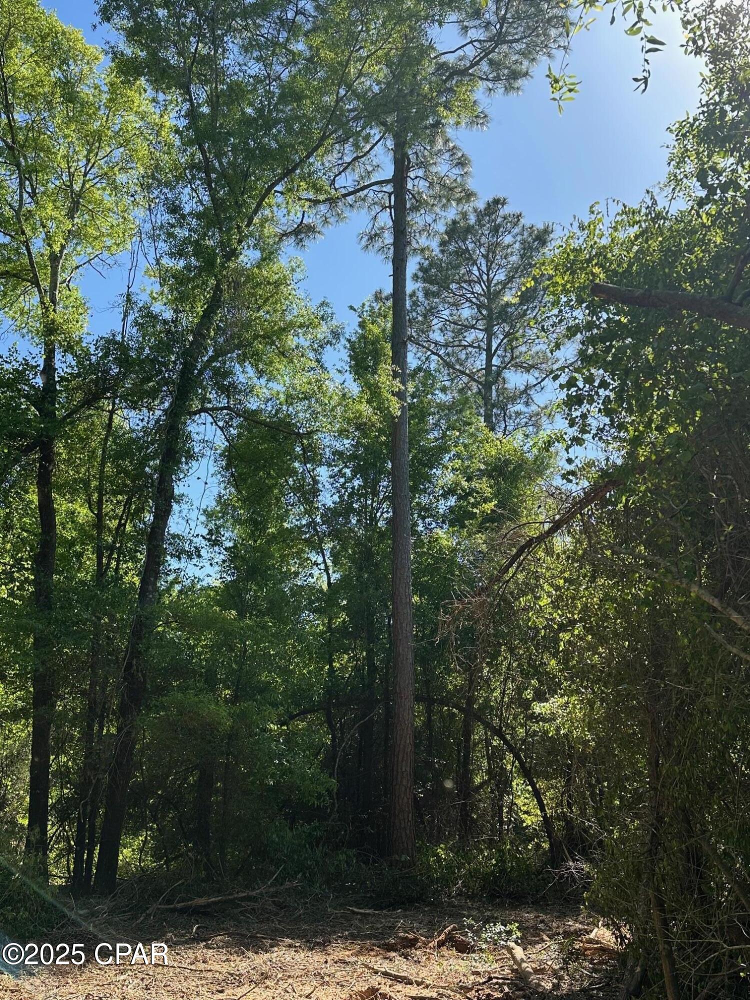 Image 5 For 00 Marcus Drive