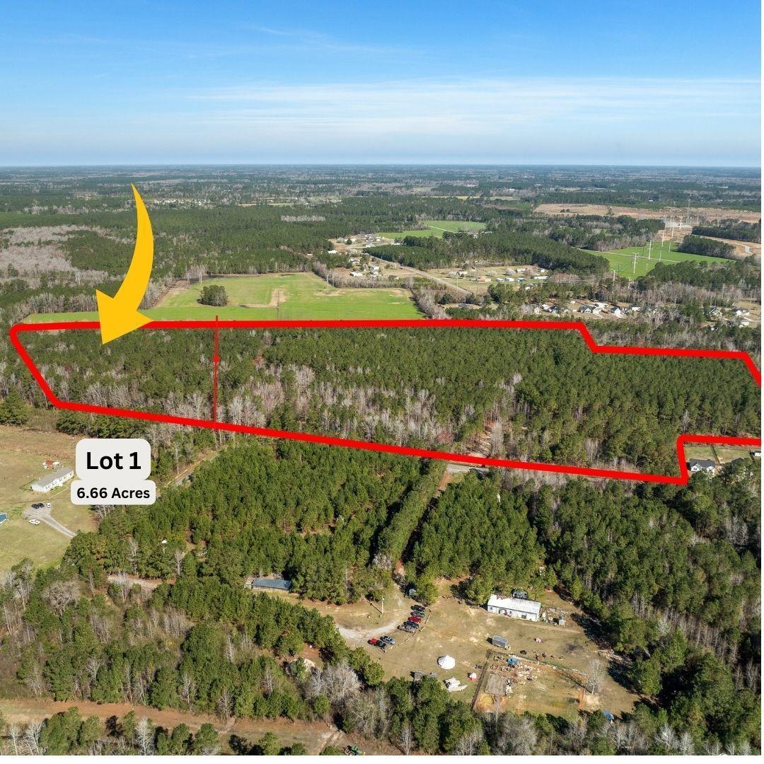 TBD - Lot Daphane Dr. Loris, SC 29569