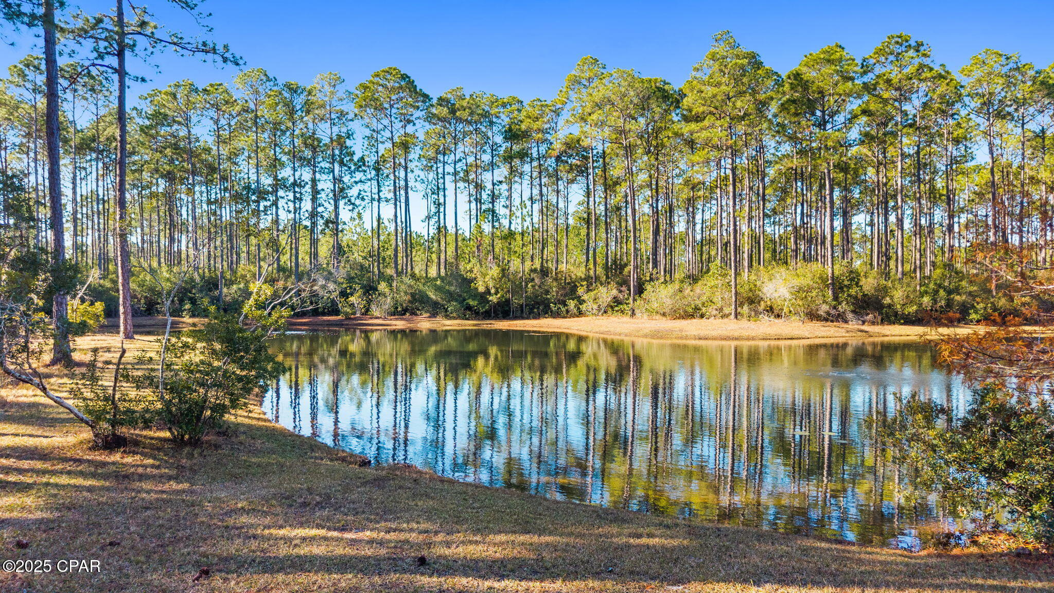 Image 14 For 8613 Preservation Drive