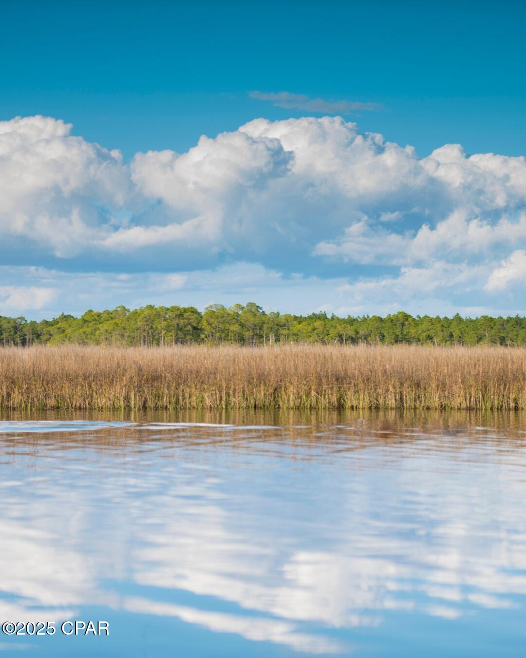 Image 6 For 8613 Preservation Drive