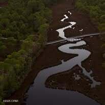 Image 8 For 8613 Preservation Drive