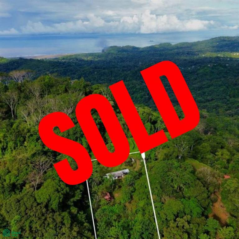 3 bed Single Family Homes For Sale in Osa, Puntarenas - 1