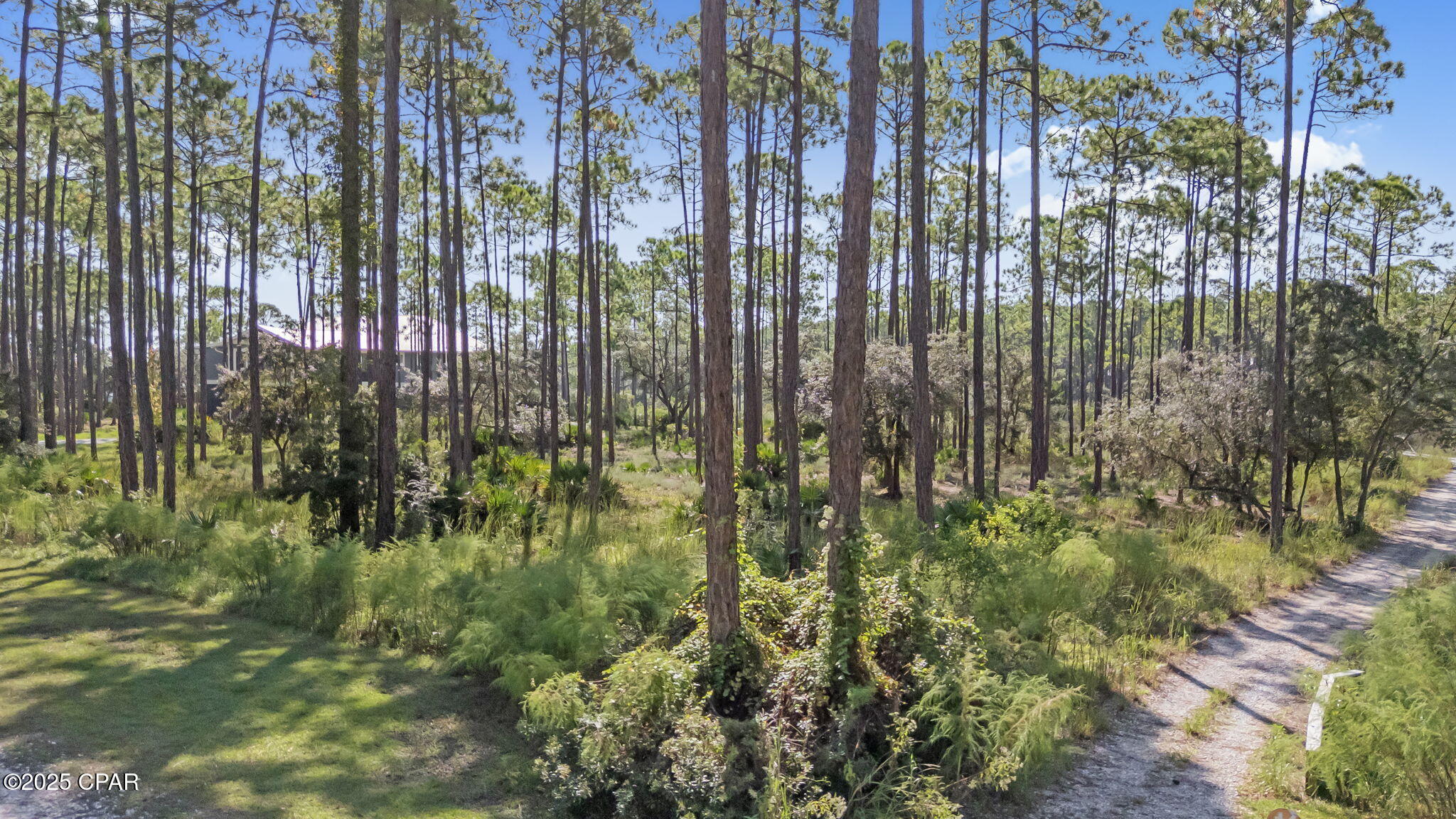 Image 12 For 6311 Turkey Cove Lane