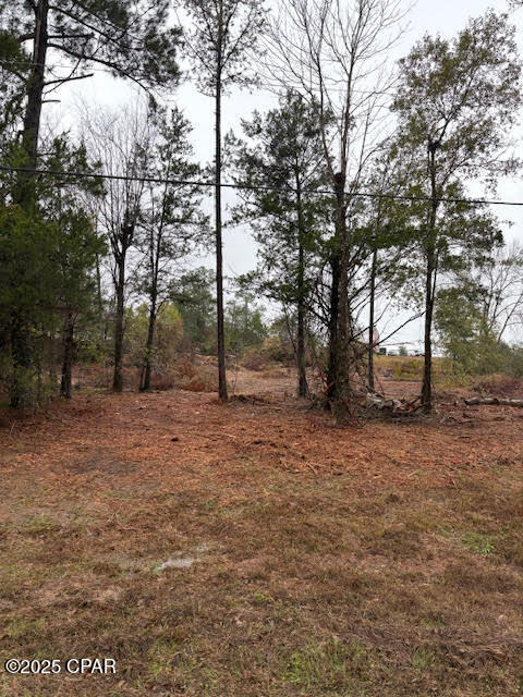 Details for 4593 Meadowview Road, Marianna, FL 32446