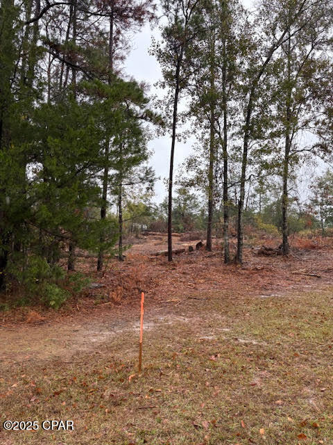 Image 3 For 4593 Meadowview Road