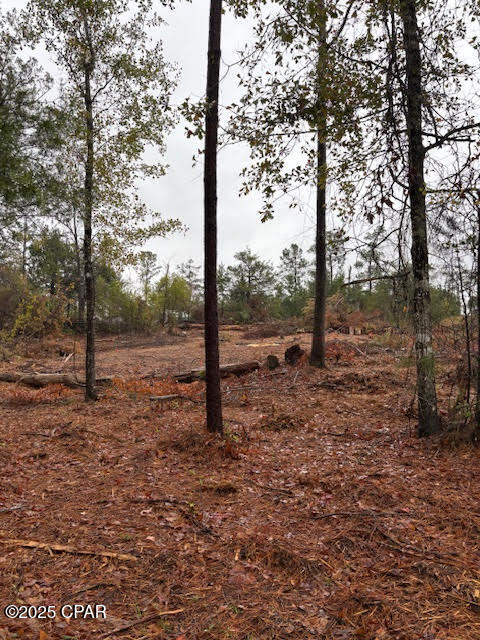 Image 4 For 4593 Meadowview Road