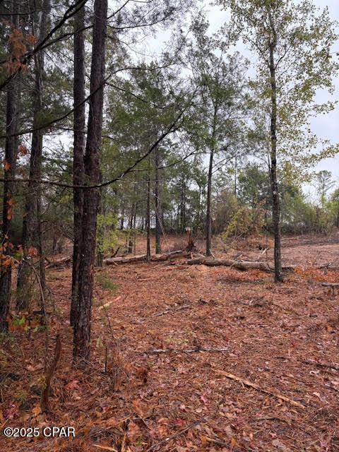 Image 5 For 4593 Meadowview Road