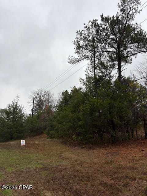 Image 8 For 4593 Meadowview Road