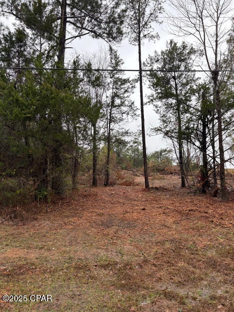 Image 9 For 4593 Meadowview Road