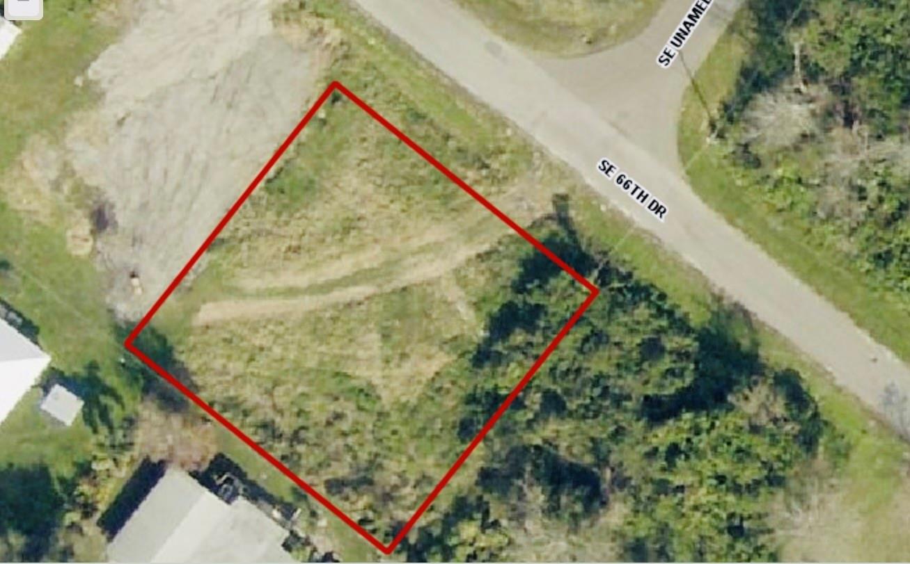 Lake Okeechobee Hammock