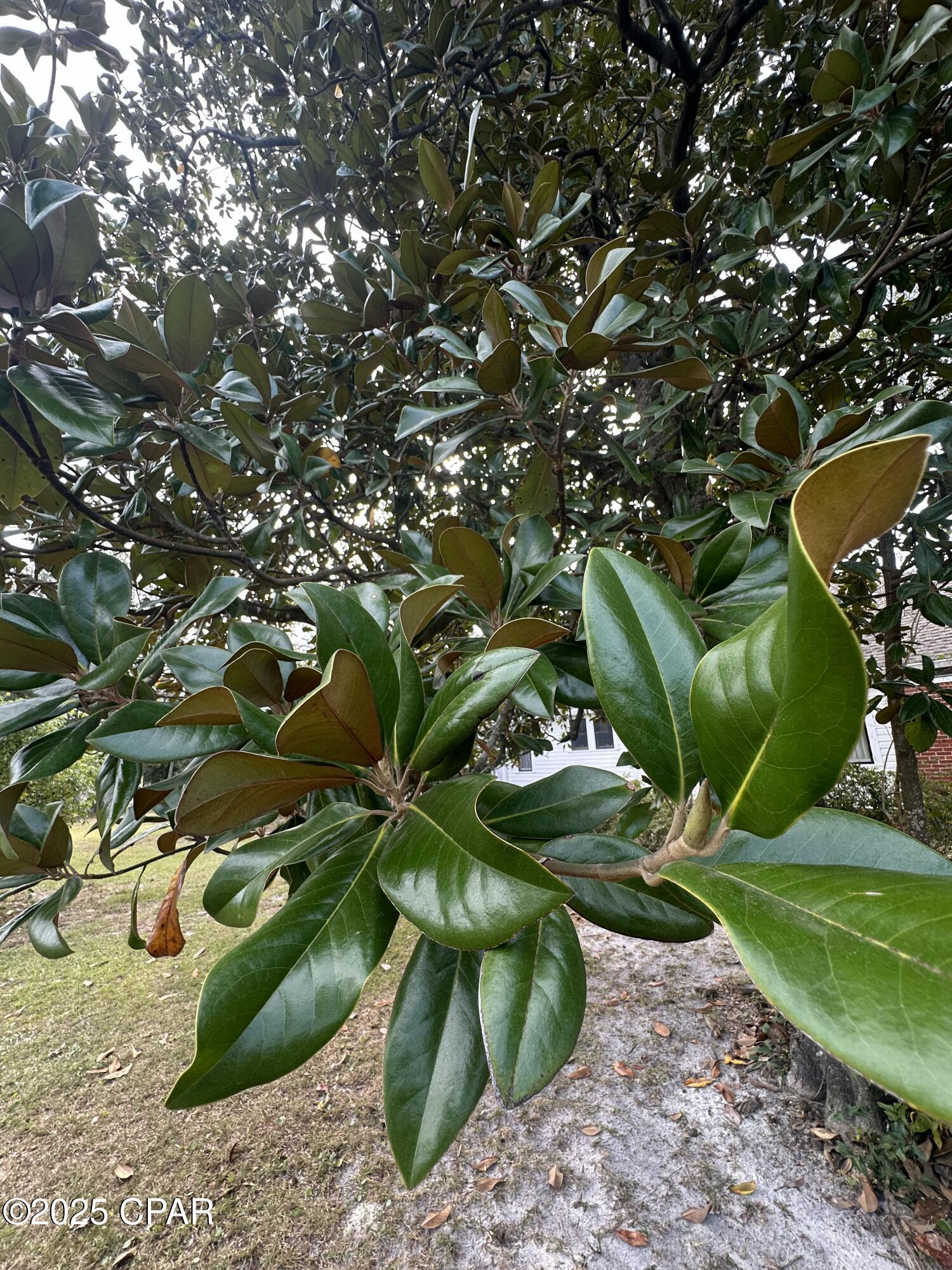 Image 10 For Tbd 4th Street