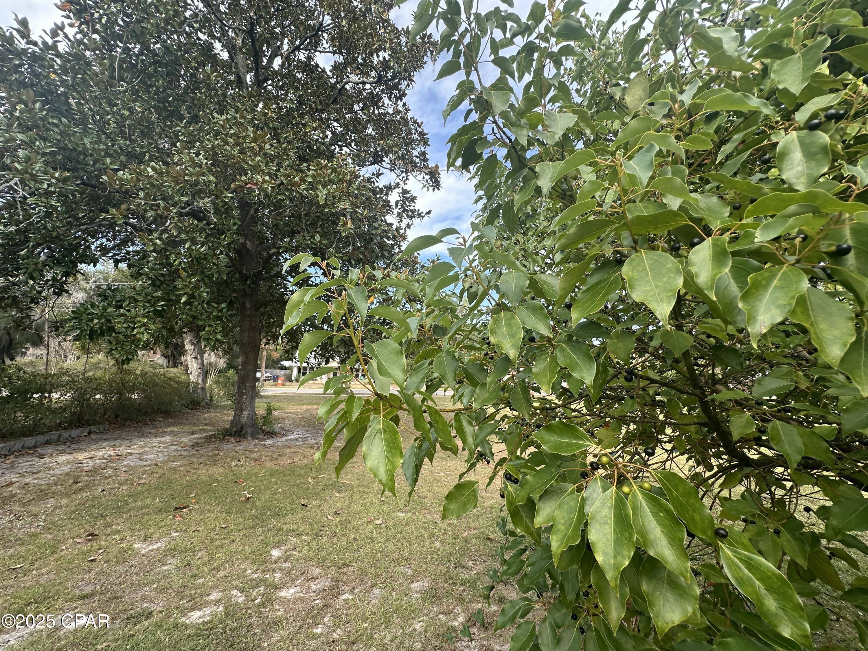 Image 11 For Tbd 4th Street