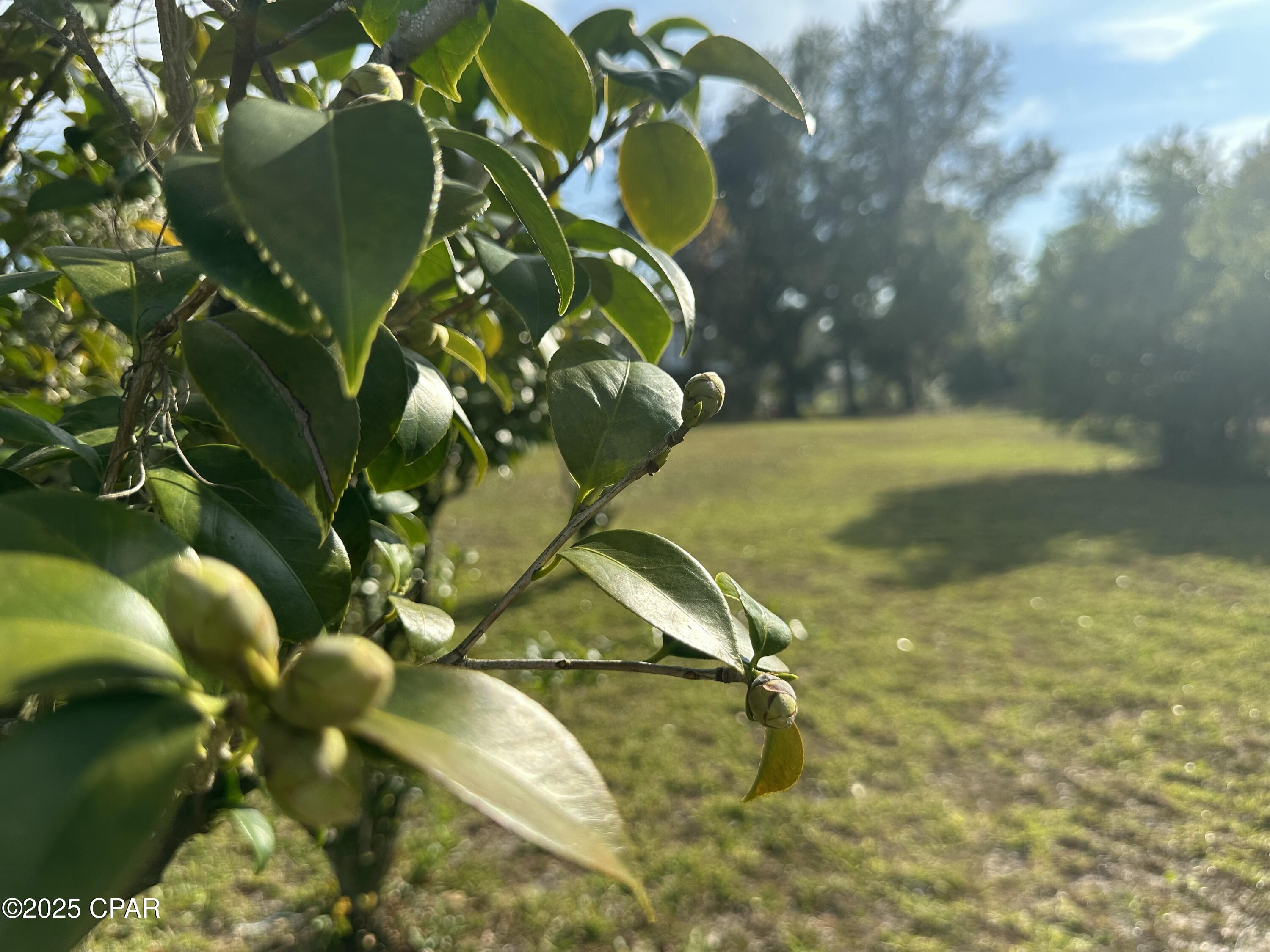 Image 12 For Tbd 4th Street