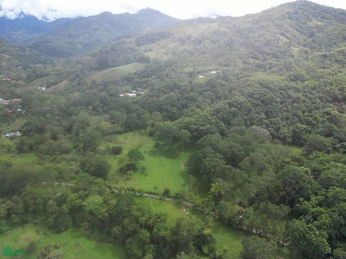 0 bed Land For Sale in Perez Zeledon, San Jose