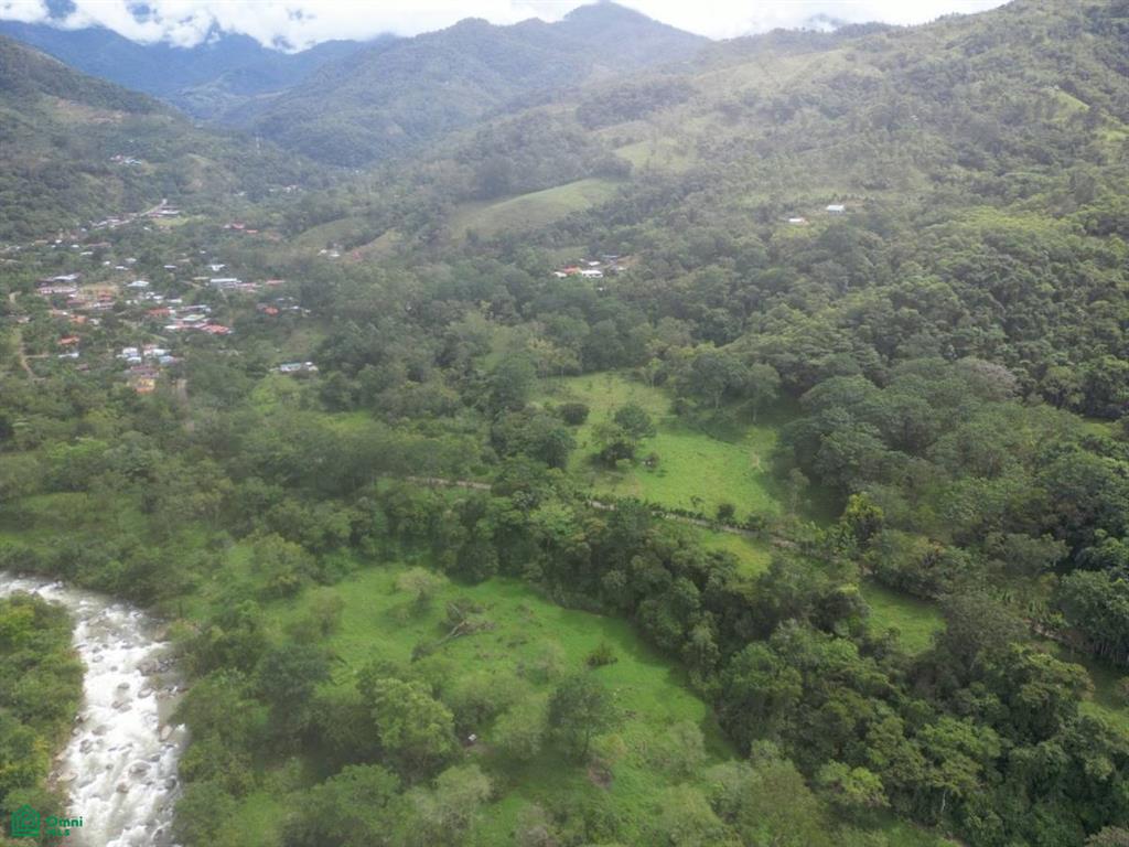 Quiet Grove Above the River, San Francisco de Rivas, Perez Zeledon, San Jose
