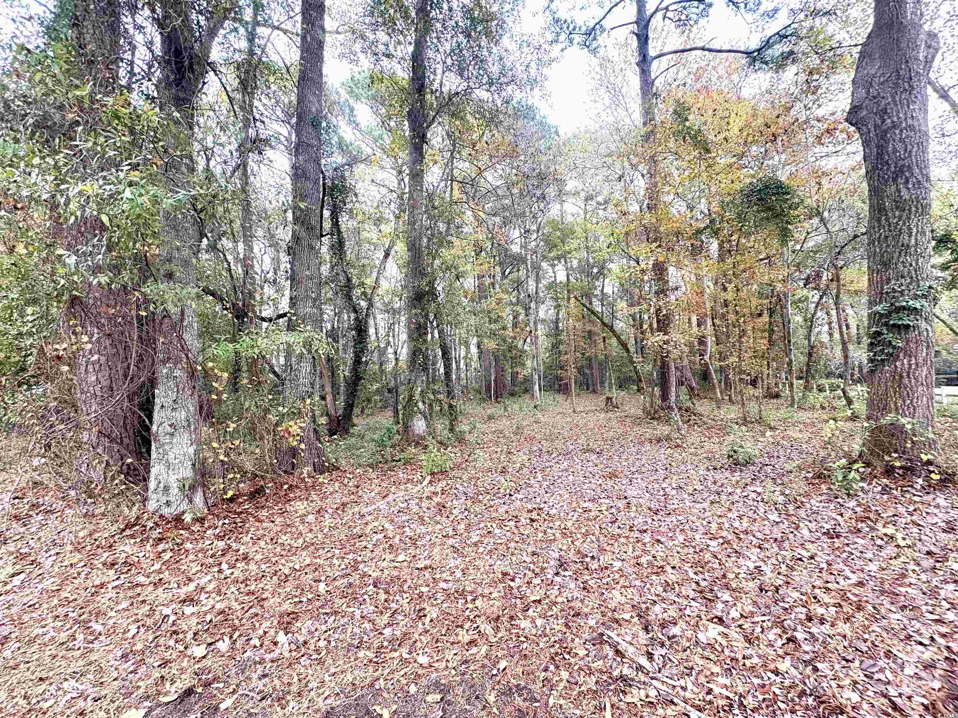 Lot 34 Old Augusta Dr. Pawleys Island, SC 29585