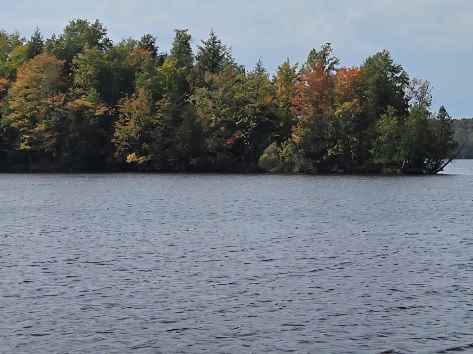 Butternut Lake MC Property W9002 Fern Dr Photo 25