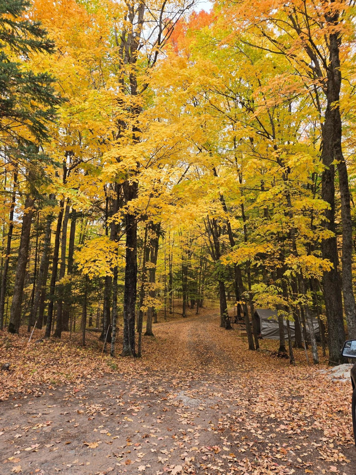 Butternut Lake MC Property W9002 Fern Dr Photo 30