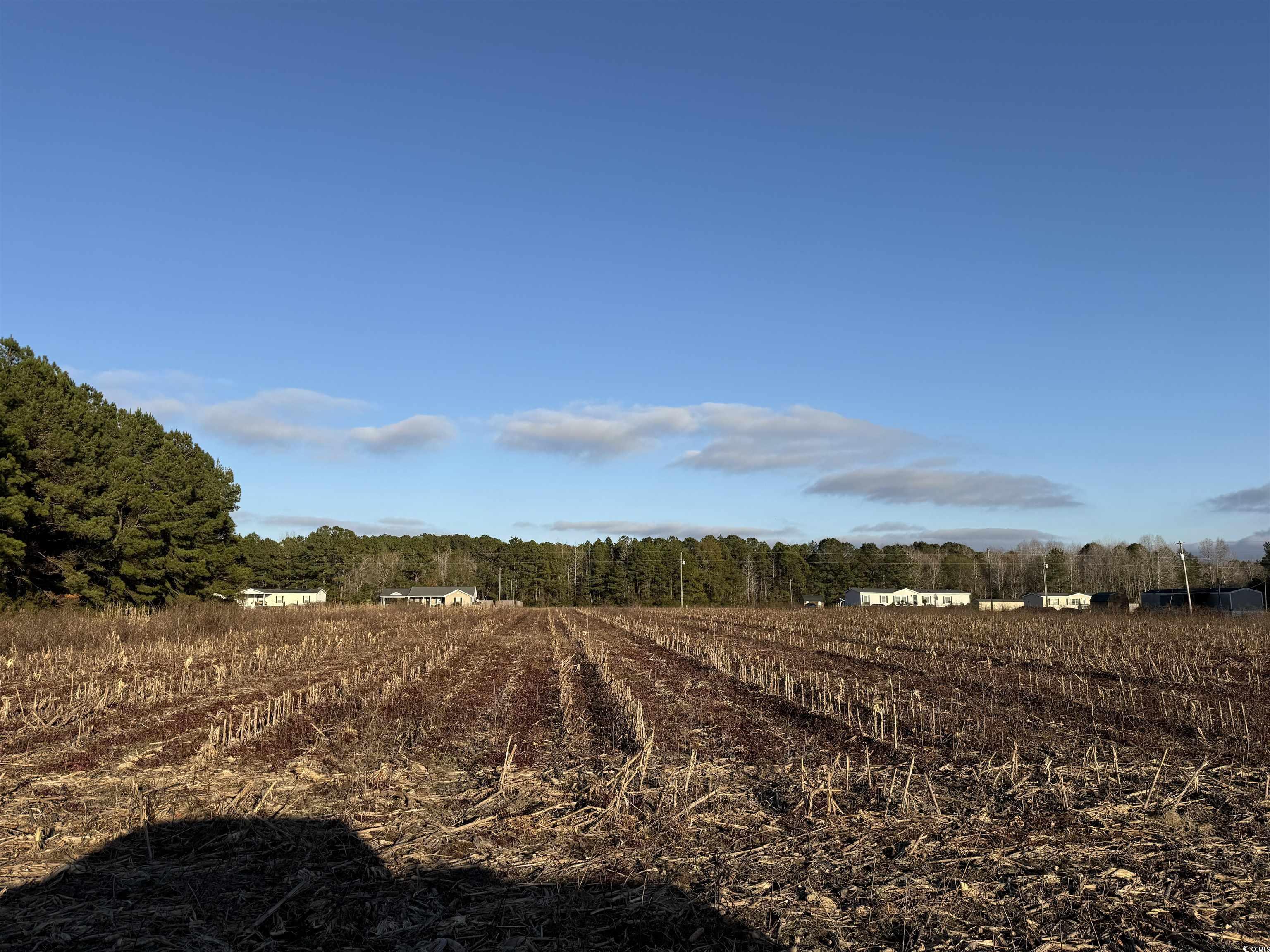 Homes for sale in Kingstree, SC | Tbd Thomas Dr, Kingstree, SC 29556 | MLS# 2529134