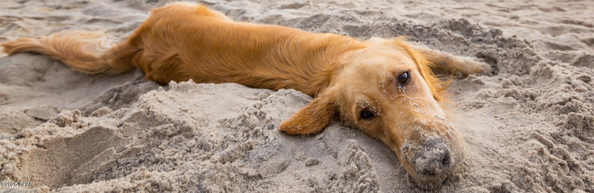 Image 57 For 9106 Highway 98