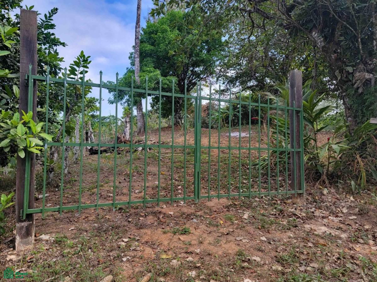 0 bed Land For Sale in Pavon, Puntarenas - 1