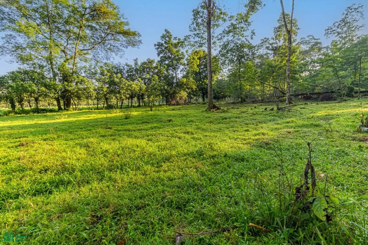 0 bed Land For Sale in Pococi, Limon - 1