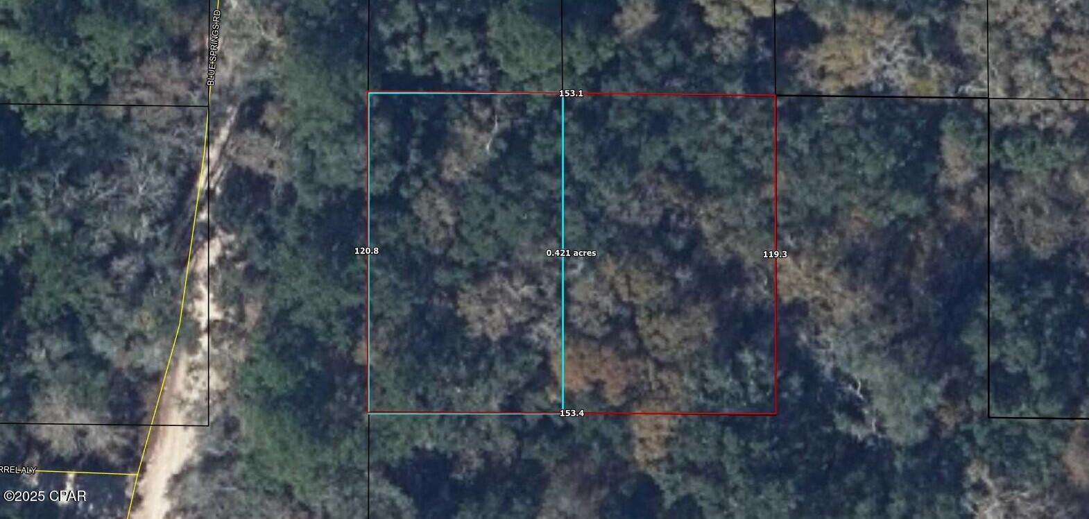 Listing Details for 0 Blue Springs Road, Bonifay, FL 32425