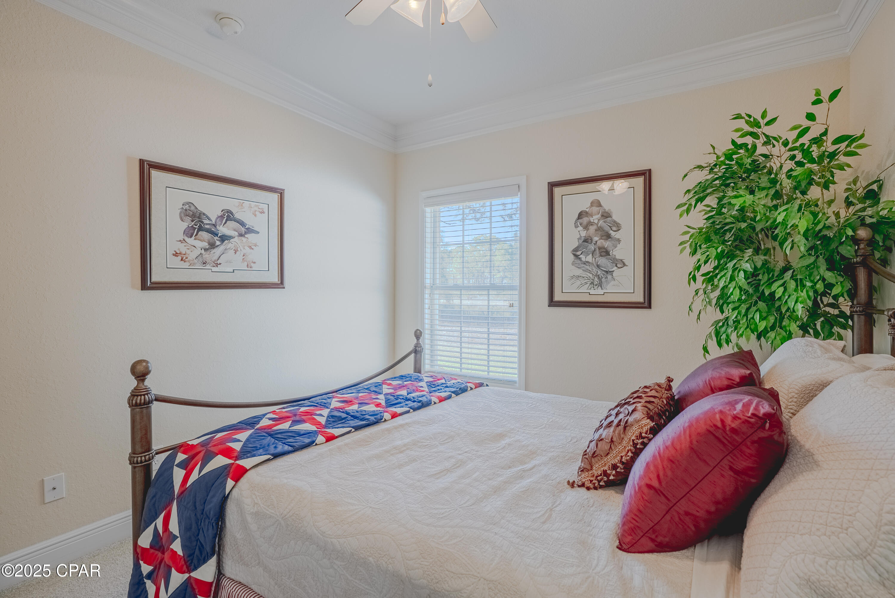 Image 10 For 231 Middleburg Drive